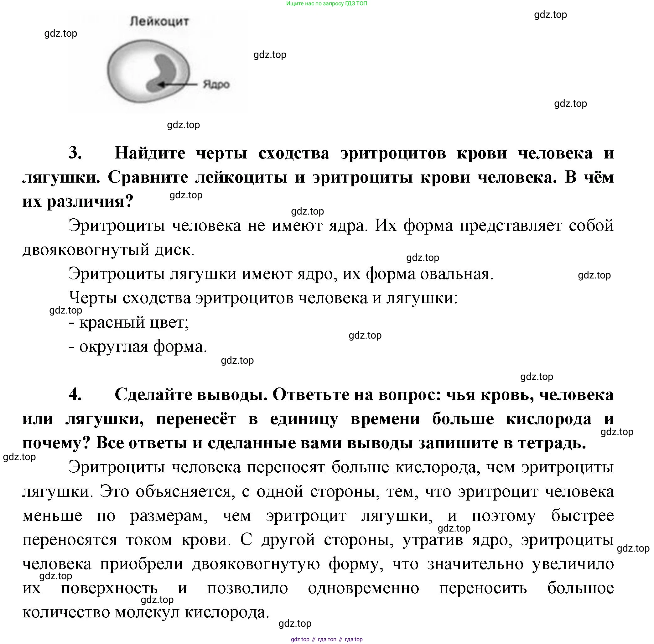 Биология, 9 класс Учебник, авторы: Пасечник Владимир Васильевич, Каменский Андрей Александрович, Швецов Глеб Геннадьевич, Гапонюк Зоя Георгиевна, издательство Просвещение, Москва, 2023, белого цвета, страница 100, Решение (продолжение 2)