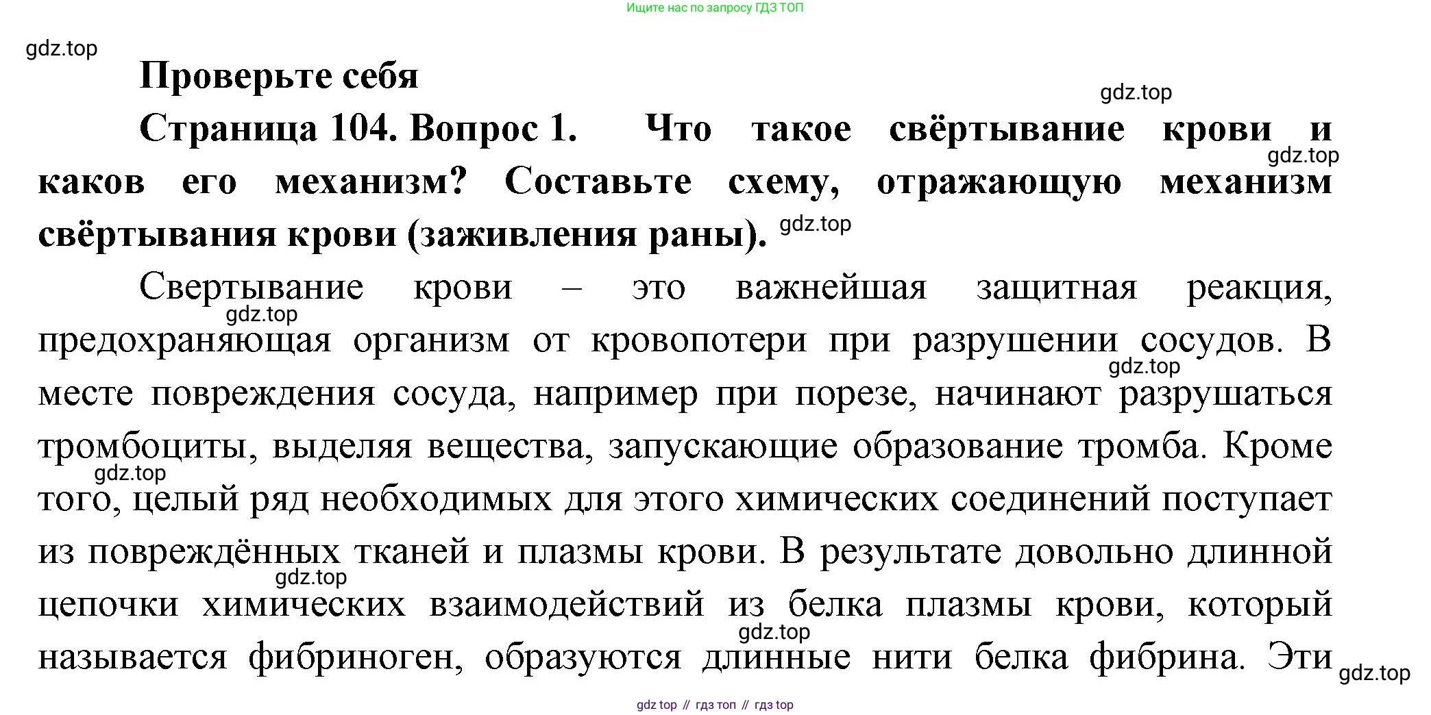 Биология, 9 класс Учебник, авторы: Пасечник Владимир Васильевич, Каменский Андрей Александрович, Швецов Глеб Геннадьевич, Гапонюк Зоя Георгиевна, издательство Просвещение, Москва, 2023, белого цвета, страница 104, номер 1, Решение