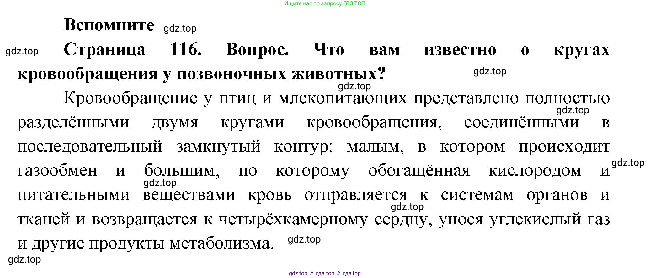 ГДЗ Биология, 9 класс Учебник, авторы: Пасечник Владимир Васильевич, Каменский Андрей Александрович, Швецов Глеб Геннадьевич, Гапонюк Зоя Георгиевна, издательство Просвещение, Москва, 2023, белого цвета, страница 116, Решение