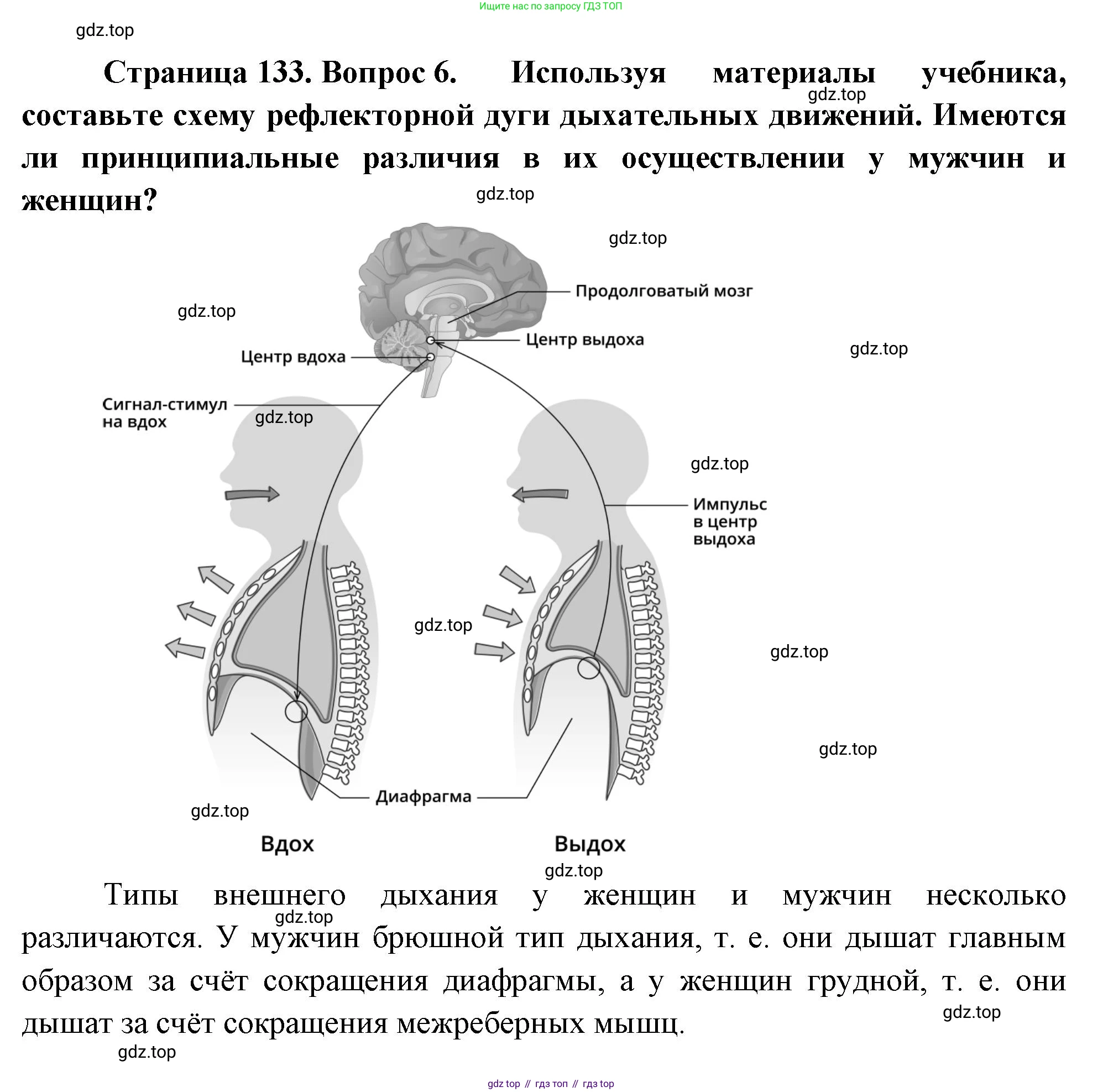 ГДЗ Биология, 9 класс Учебник, авторы: Пасечник Владимир Васильевич, Каменский Андрей Александрович, Швецов Глеб Геннадьевич, Гапонюк Зоя Георгиевна, издательство Просвещение, Москва, 2023, белого цвета, страница 133, номер 6, Решение