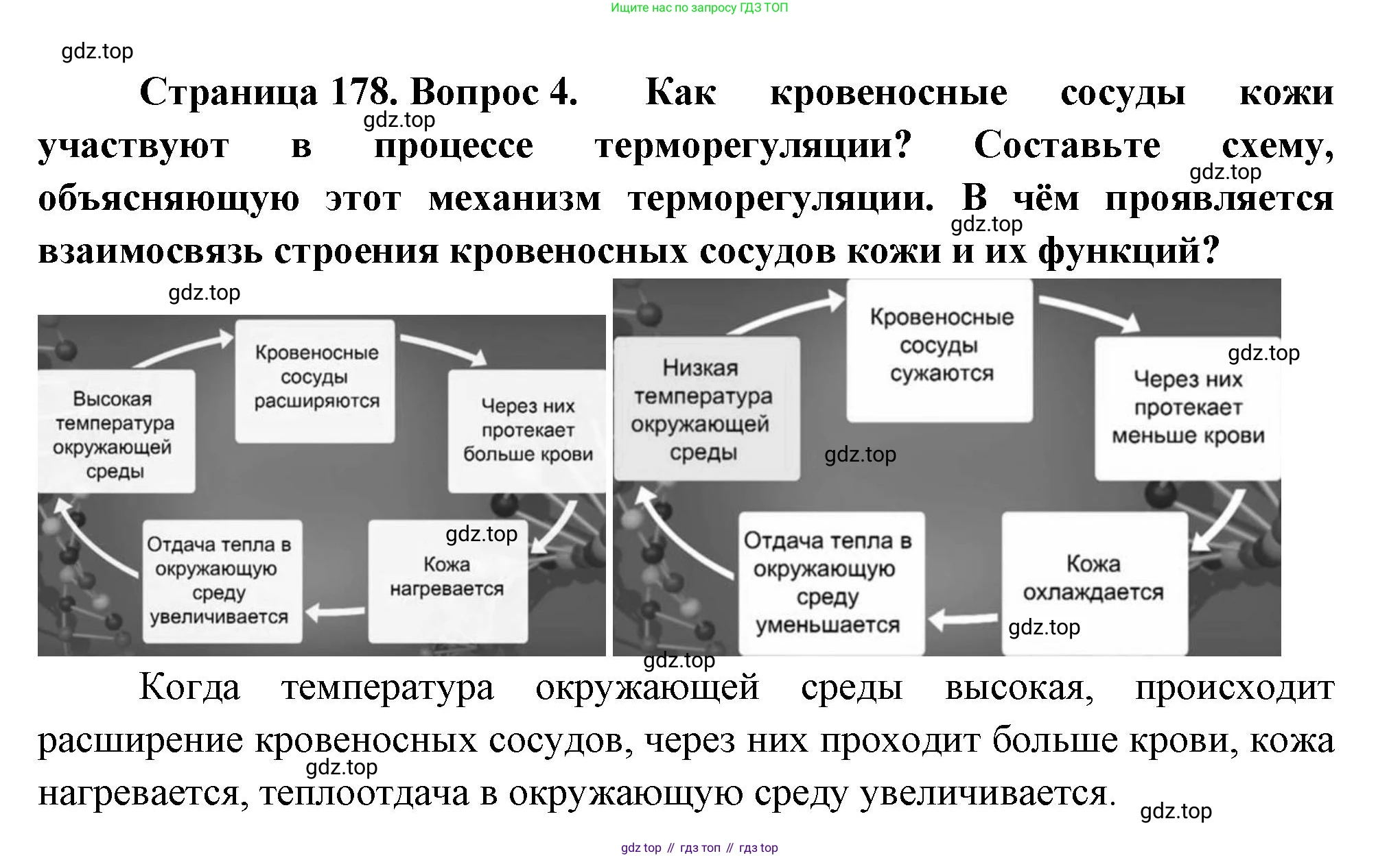 ГДЗ Биология, 9 класс Учебник, авторы: Пасечник Владимир Васильевич, Каменский Андрей Александрович, Швецов Глеб Геннадьевич, Гапонюк Зоя Георгиевна, издательство Просвещение, Москва, 2023, белого цвета, страница 178, номер 4, Решение