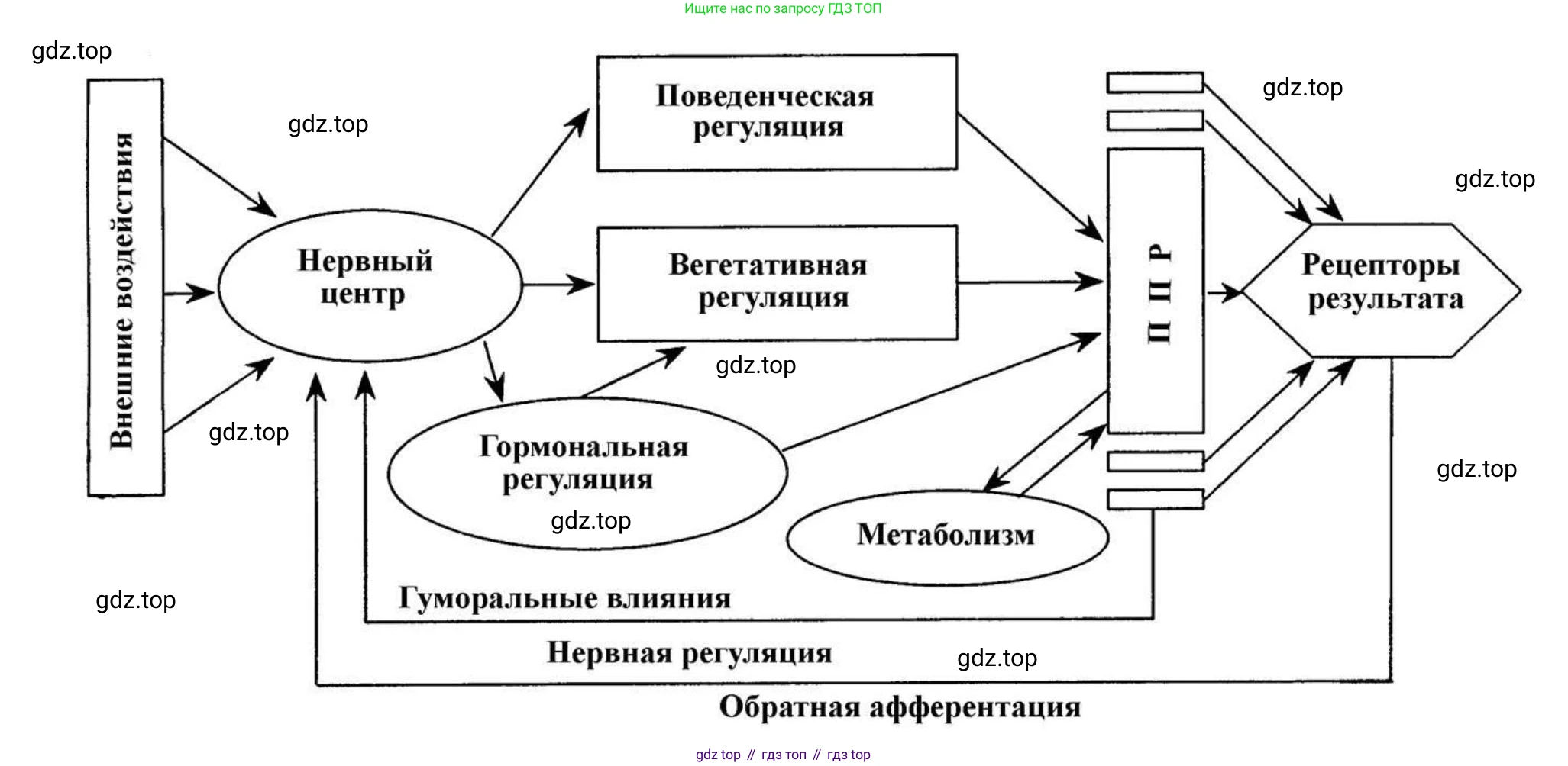 ГДЗ Биология, 9 класс Учебник, авторы: Пасечник Владимир Васильевич, Каменский Андрей Александрович, Швецов Глеб Геннадьевич, Гапонюк Зоя Георгиевна, издательство Просвещение, Москва, 2023, белого цвета, страница 237, номер 2, Решение (продолжение 2)