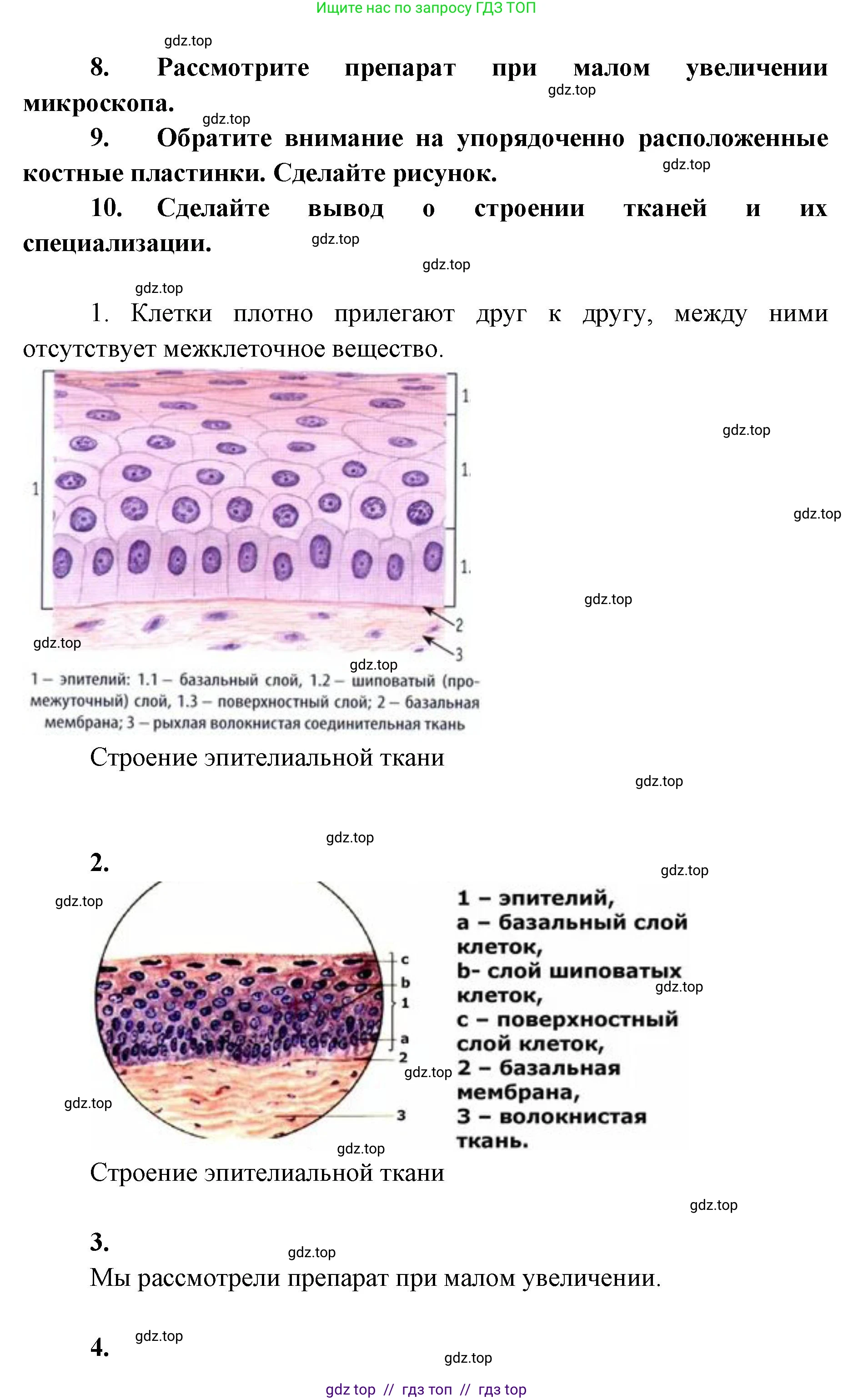 Биология, 9 класс Учебник, авторы: Пасечник Владимир Васильевич, Каменский Андрей Александрович, Швецов Глеб Геннадьевич, Гапонюк Зоя Георгиевна, издательство Просвещение, Москва, 2023, белого цвета, страница 42, Решение 2 (продолжение 2)