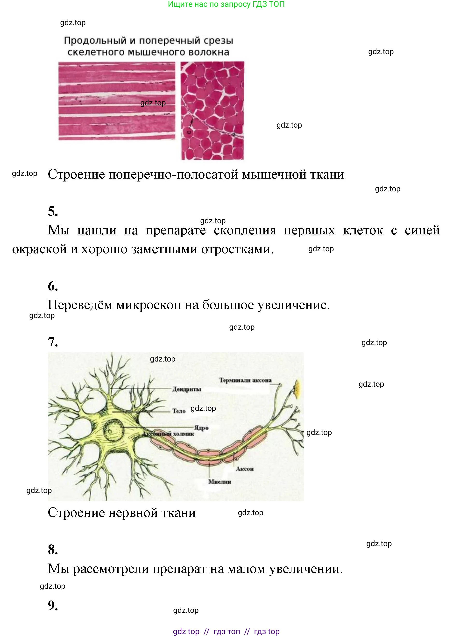 Биология, 9 класс Учебник, авторы: Пасечник Владимир Васильевич, Каменский Андрей Александрович, Швецов Глеб Геннадьевич, Гапонюк Зоя Георгиевна, издательство Просвещение, Москва, 2023, белого цвета, страница 42, Решение 2 (продолжение 3)