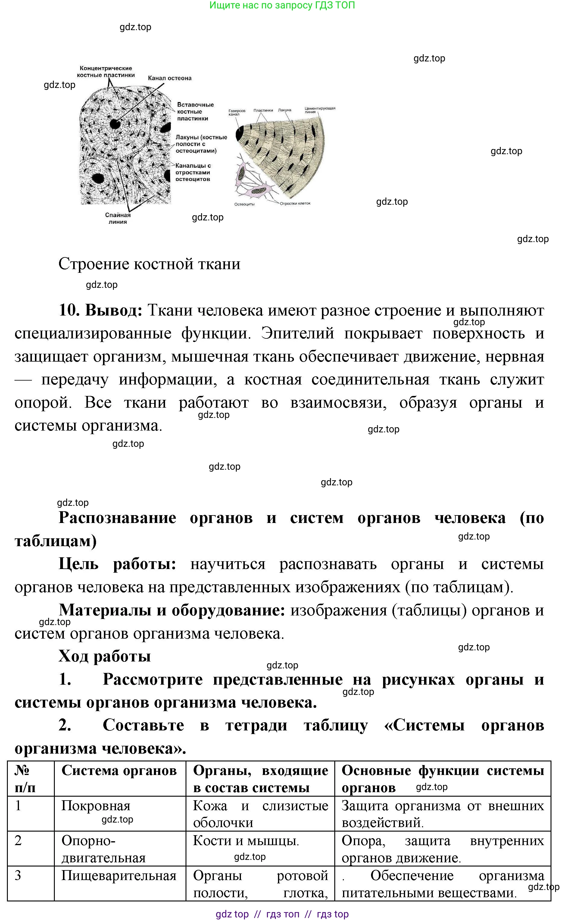 Биология, 9 класс Учебник, авторы: Пасечник Владимир Васильевич, Каменский Андрей Александрович, Швецов Глеб Геннадьевич, Гапонюк Зоя Георгиевна, издательство Просвещение, Москва, 2023, белого цвета, страница 42, Решение 2 (продолжение 4)