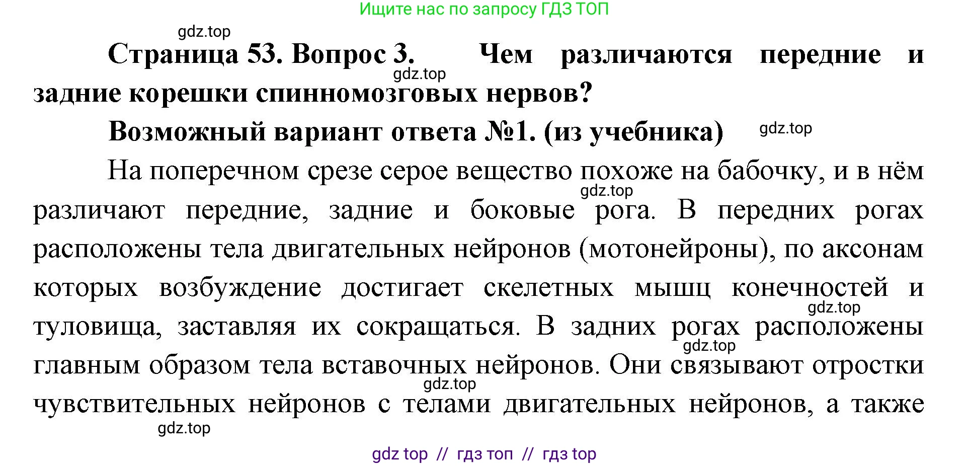 Биология, 9 класс Учебник, авторы: Пасечник Владимир Васильевич, Каменский Андрей Александрович, Швецов Глеб Геннадьевич, Гапонюк Зоя Георгиевна, издательство Просвещение, Москва, 2023, белого цвета, страница 53, номер 3, Решение 2