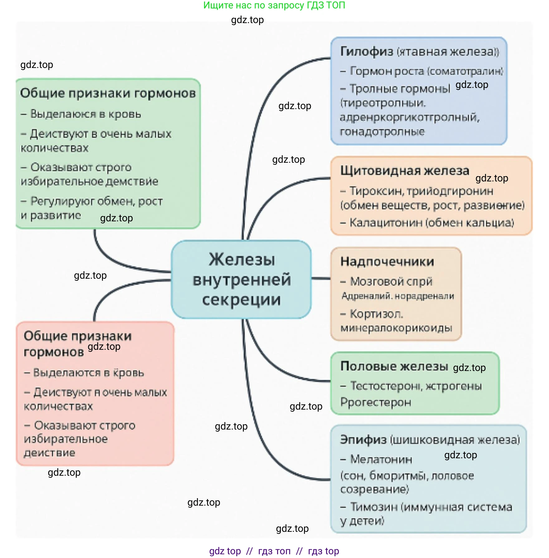 Биология, 9 класс Учебник, авторы: Пасечник Владимир Васильевич, Каменский Андрей Александрович, Швецов Глеб Геннадьевич, Гапонюк Зоя Георгиевна, издательство Просвещение, Москва, 2023, белого цвета, страница 69, Решение 2 (продолжение 3)