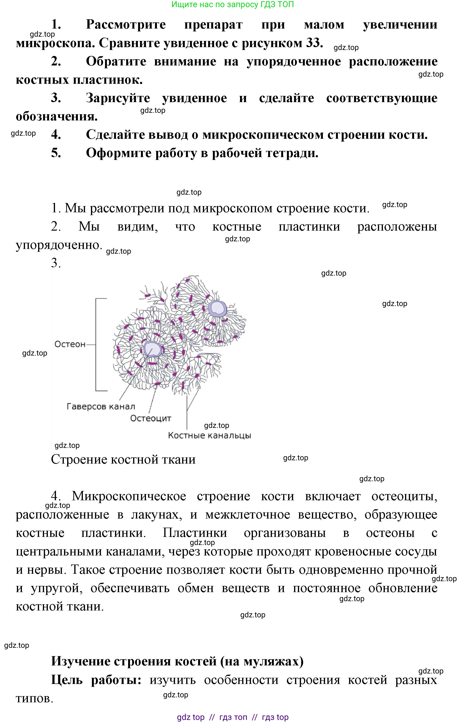 Биология, 9 класс Учебник, авторы: Пасечник Владимир Васильевич, Каменский Андрей Александрович, Швецов Глеб Геннадьевич, Гапонюк Зоя Георгиевна, издательство Просвещение, Москва, 2023, белого цвета, страница 77, Решение 2 (продолжение 3)
