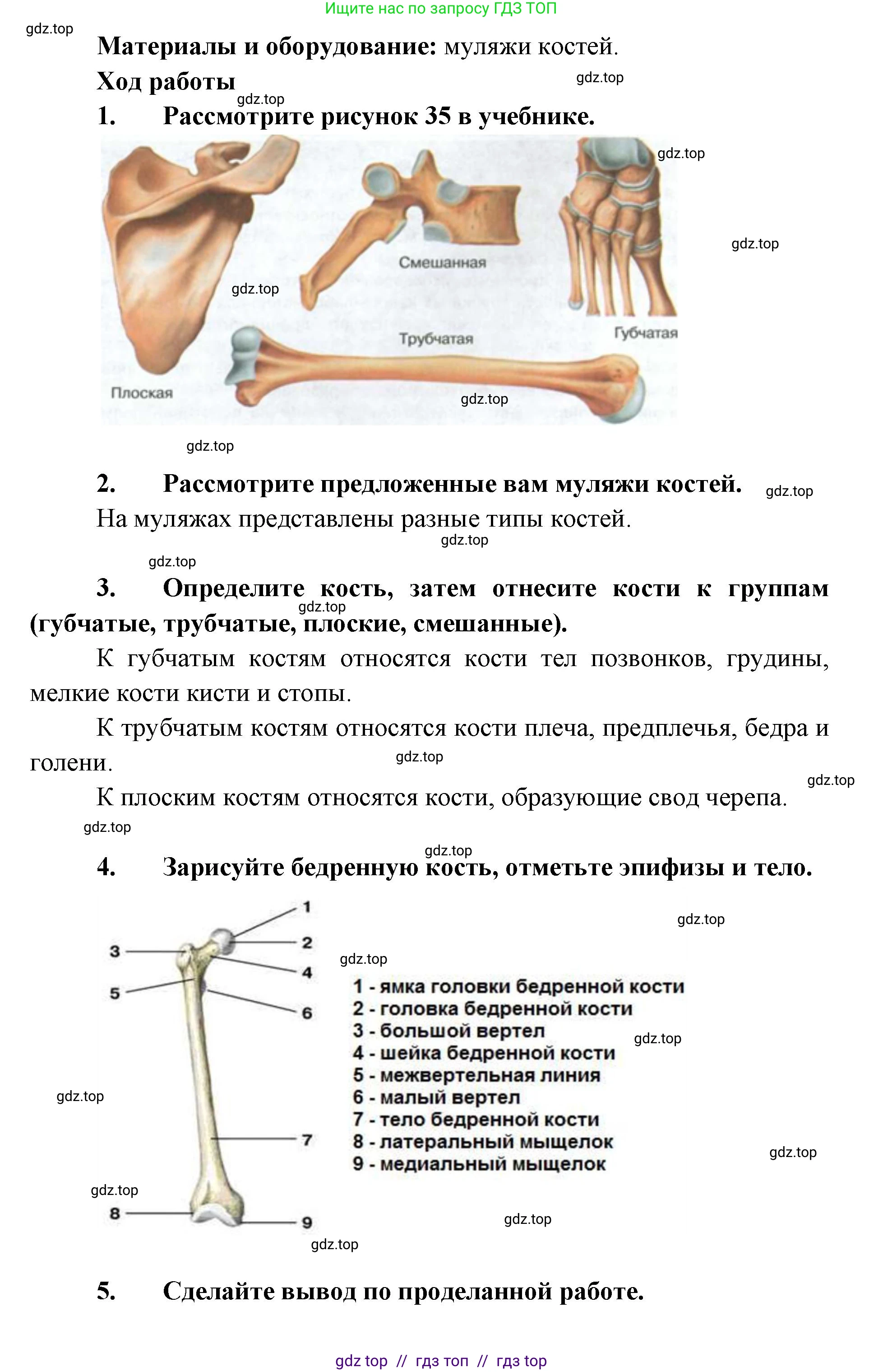 Биология, 9 класс Учебник, авторы: Пасечник Владимир Васильевич, Каменский Андрей Александрович, Швецов Глеб Геннадьевич, Гапонюк Зоя Георгиевна, издательство Просвещение, Москва, 2023, белого цвета, страница 77, Решение 2 (продолжение 4)