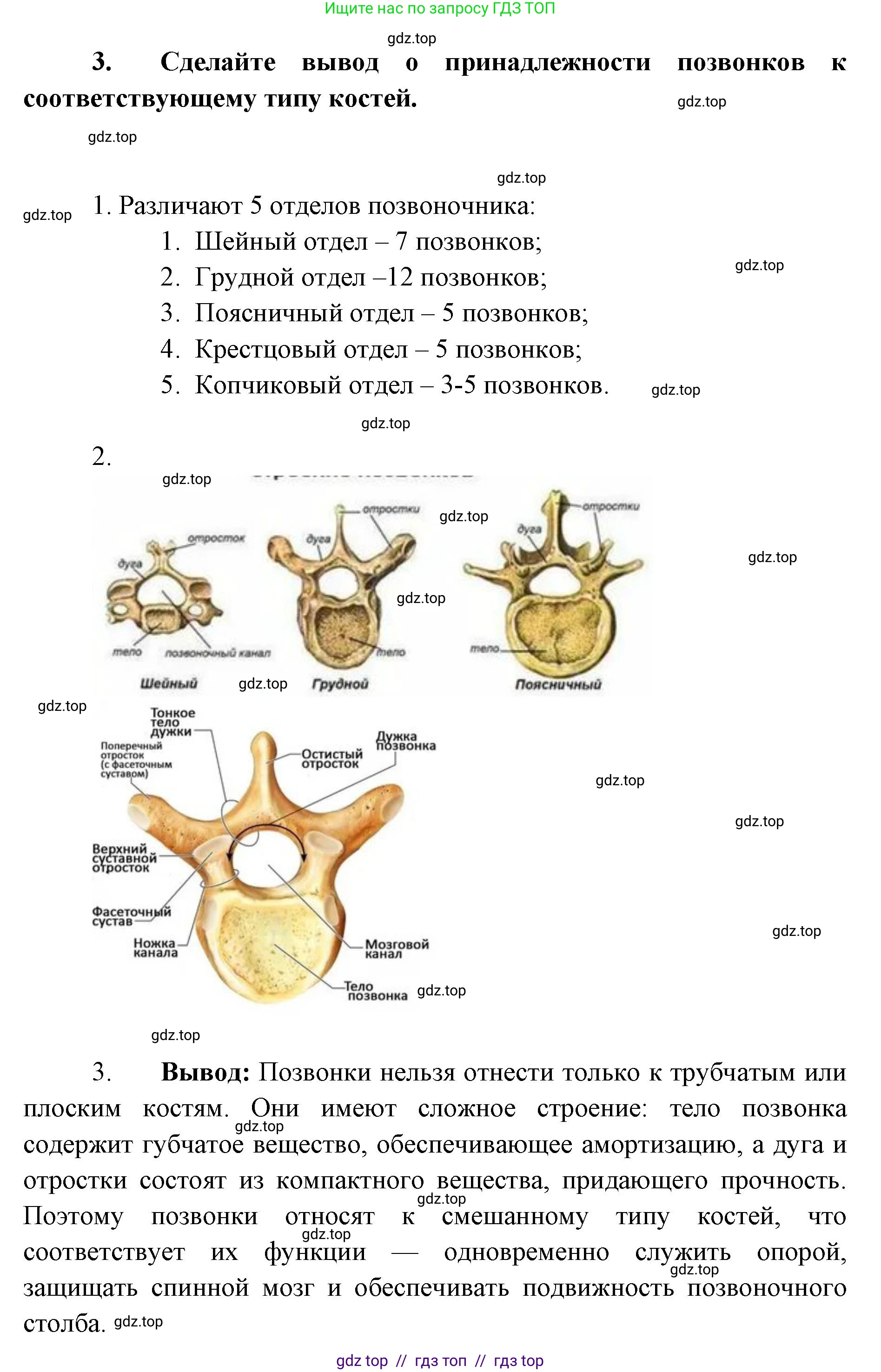 Биология, 9 класс Учебник, авторы: Пасечник Владимир Васильевич, Каменский Андрей Александрович, Швецов Глеб Геннадьевич, Гапонюк Зоя Георгиевна, издательство Просвещение, Москва, 2023, белого цвета, страница 83, Решение 2 (продолжение 2)