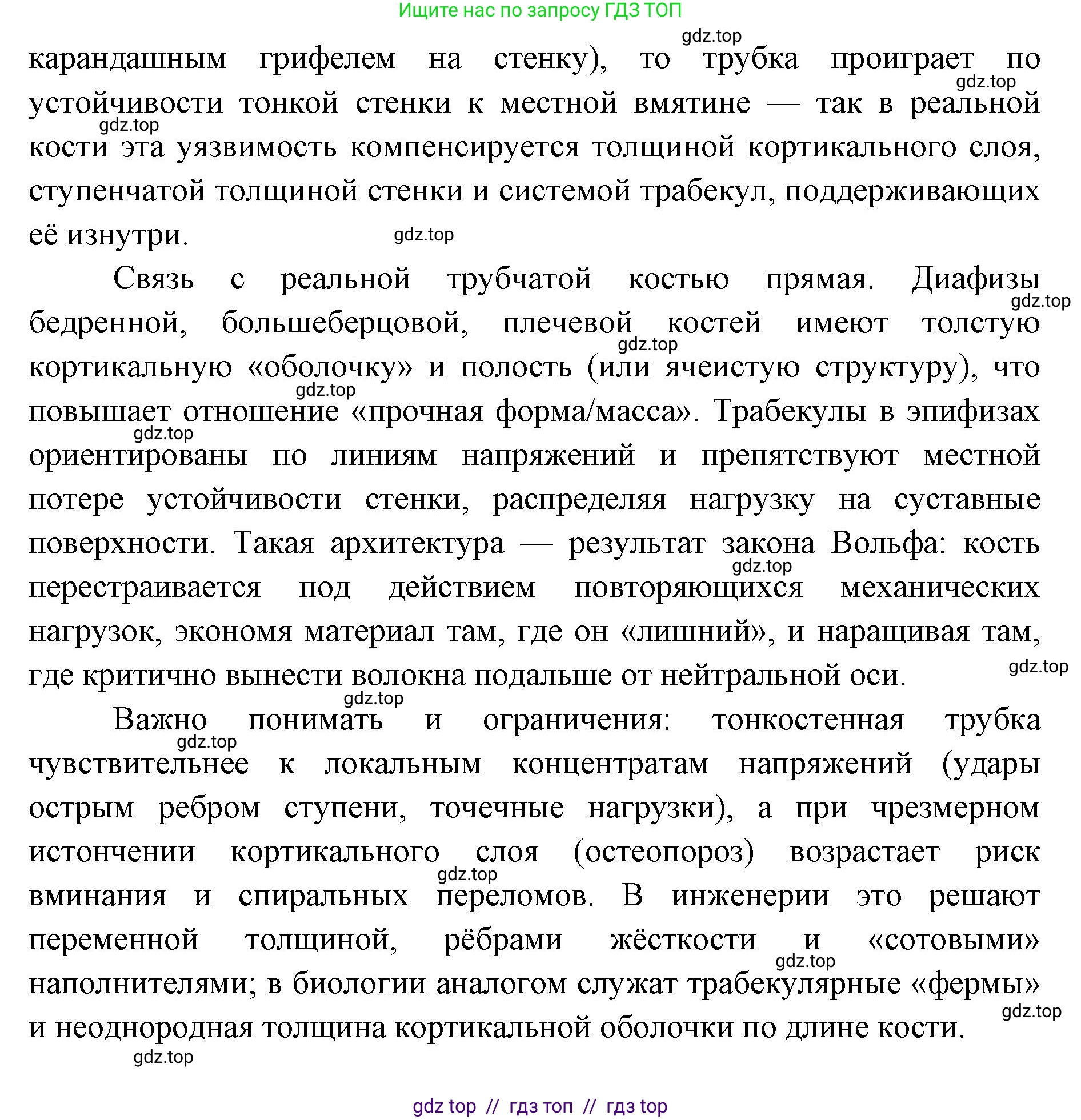 Биология, 9 класс Учебник, авторы: Пасечник Владимир Васильевич, Каменский Андрей Александрович, Швецов Глеб Геннадьевич, Гапонюк Зоя Георгиевна, издательство Просвещение, Москва, 2023, белого цвета, страница 92, номер 4, Решение 2 (продолжение 2)