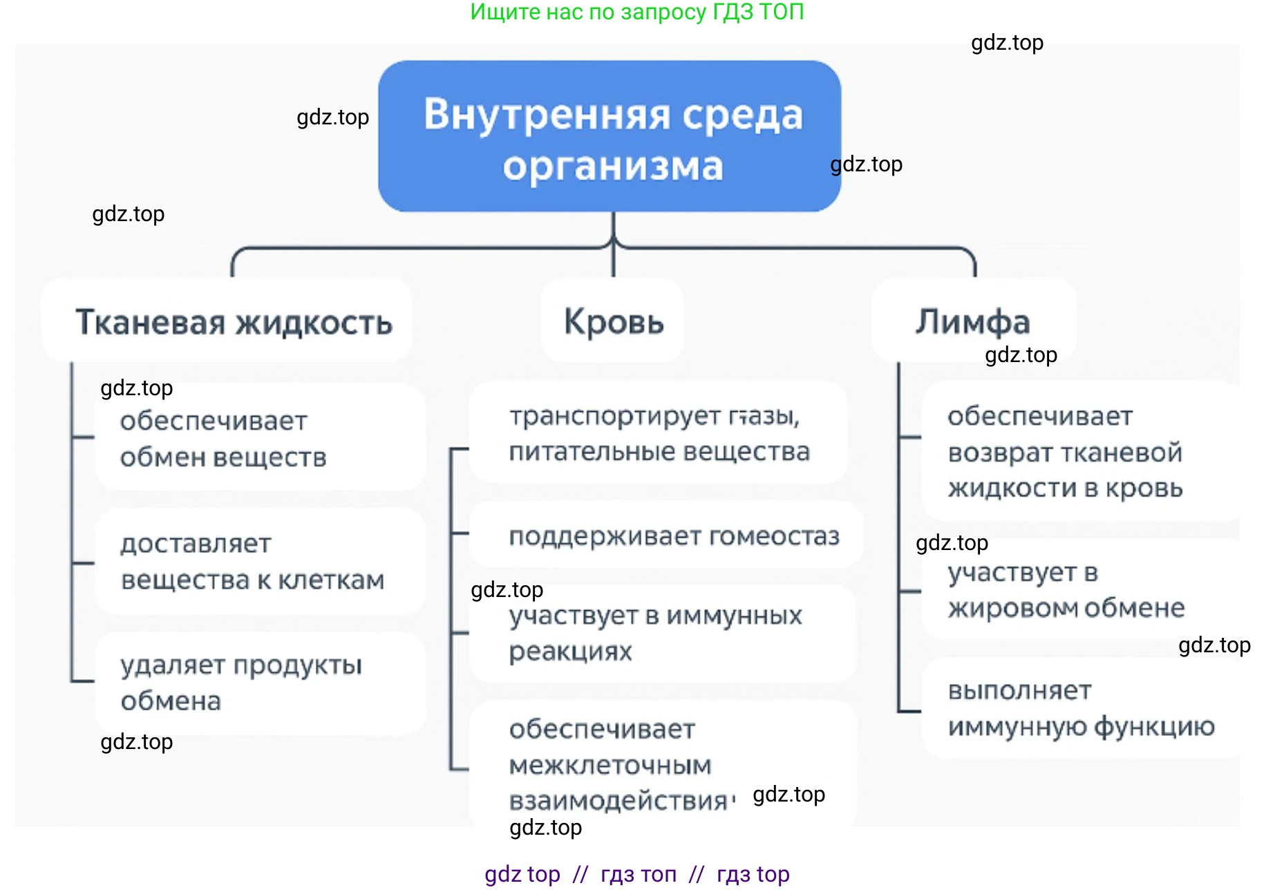 Биология, 9 класс Учебник, авторы: Пасечник Владимир Васильевич, Каменский Андрей Александрович, Швецов Глеб Геннадьевич, Гапонюк Зоя Георгиевна, издательство Просвещение, Москва, 2023, белого цвета, страница 96, Решение 2 (продолжение 3)
