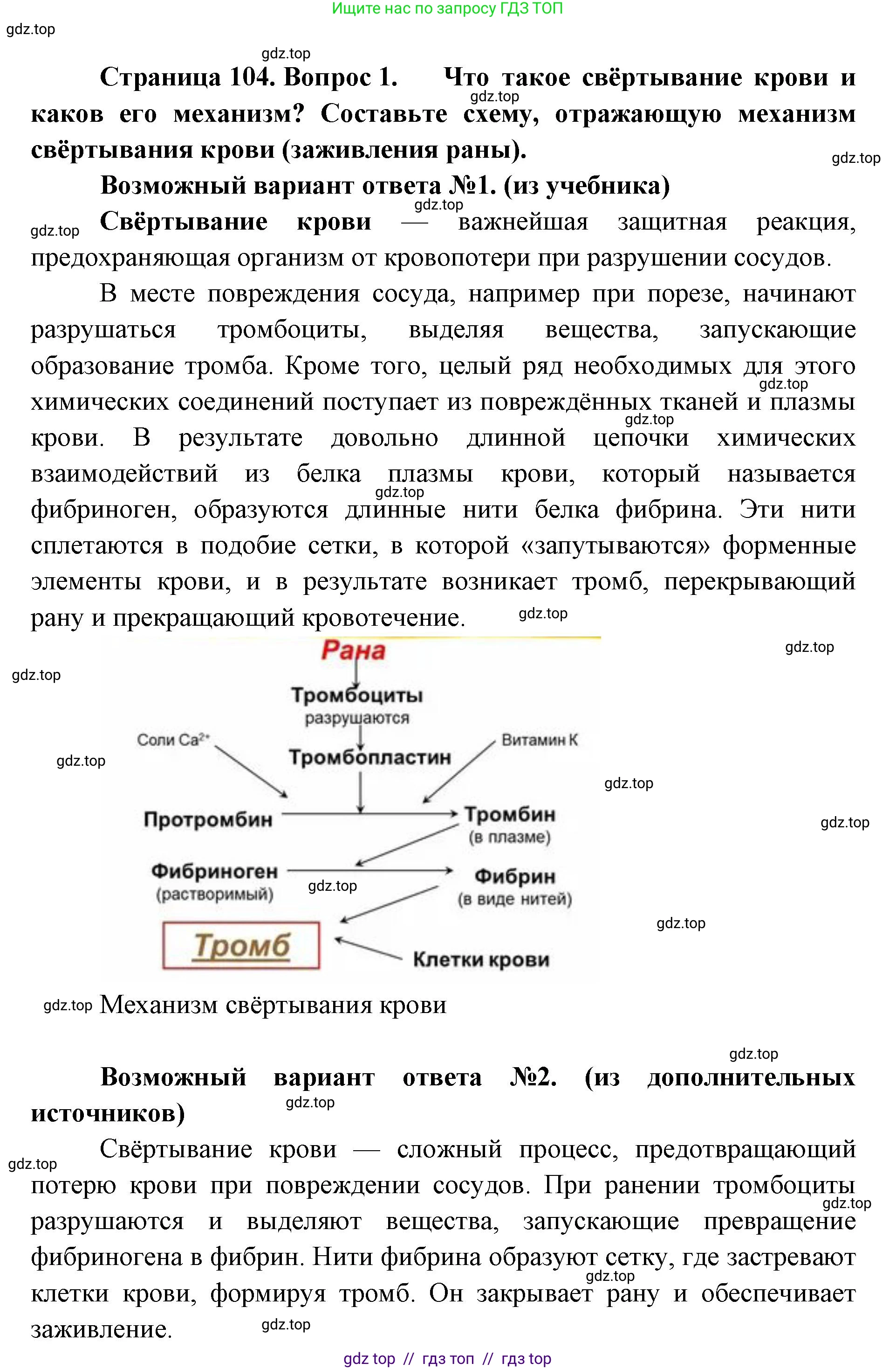 Биология, 9 класс Учебник, авторы: Пасечник Владимир Васильевич, Каменский Андрей Александрович, Швецов Глеб Геннадьевич, Гапонюк Зоя Георгиевна, издательство Просвещение, Москва, 2023, белого цвета, страница 104, номер 1, Решение 2