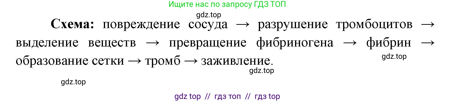 Биология, 9 класс Учебник, авторы: Пасечник Владимир Васильевич, Каменский Андрей Александрович, Швецов Глеб Геннадьевич, Гапонюк Зоя Георгиевна, издательство Просвещение, Москва, 2023, белого цвета, страница 104, номер 1, Решение 2 (продолжение 2)