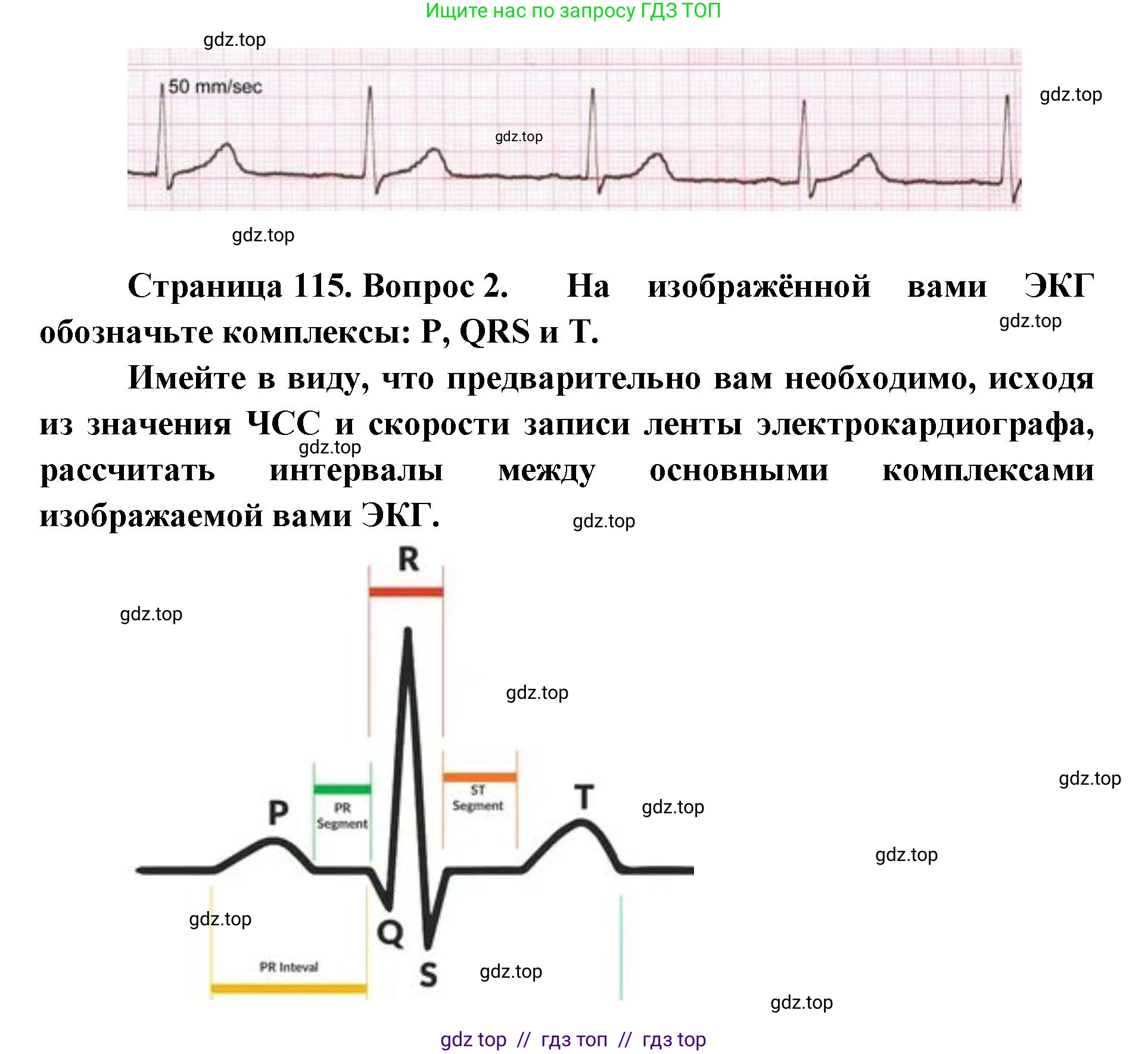 Биология, 9 класс Учебник, авторы: Пасечник Владимир Васильевич, Каменский Андрей Александрович, Швецов Глеб Геннадьевич, Гапонюк Зоя Георгиевна, издательство Просвещение, Москва, 2023, белого цвета, страница 115, Решение 2 (продолжение 2)
