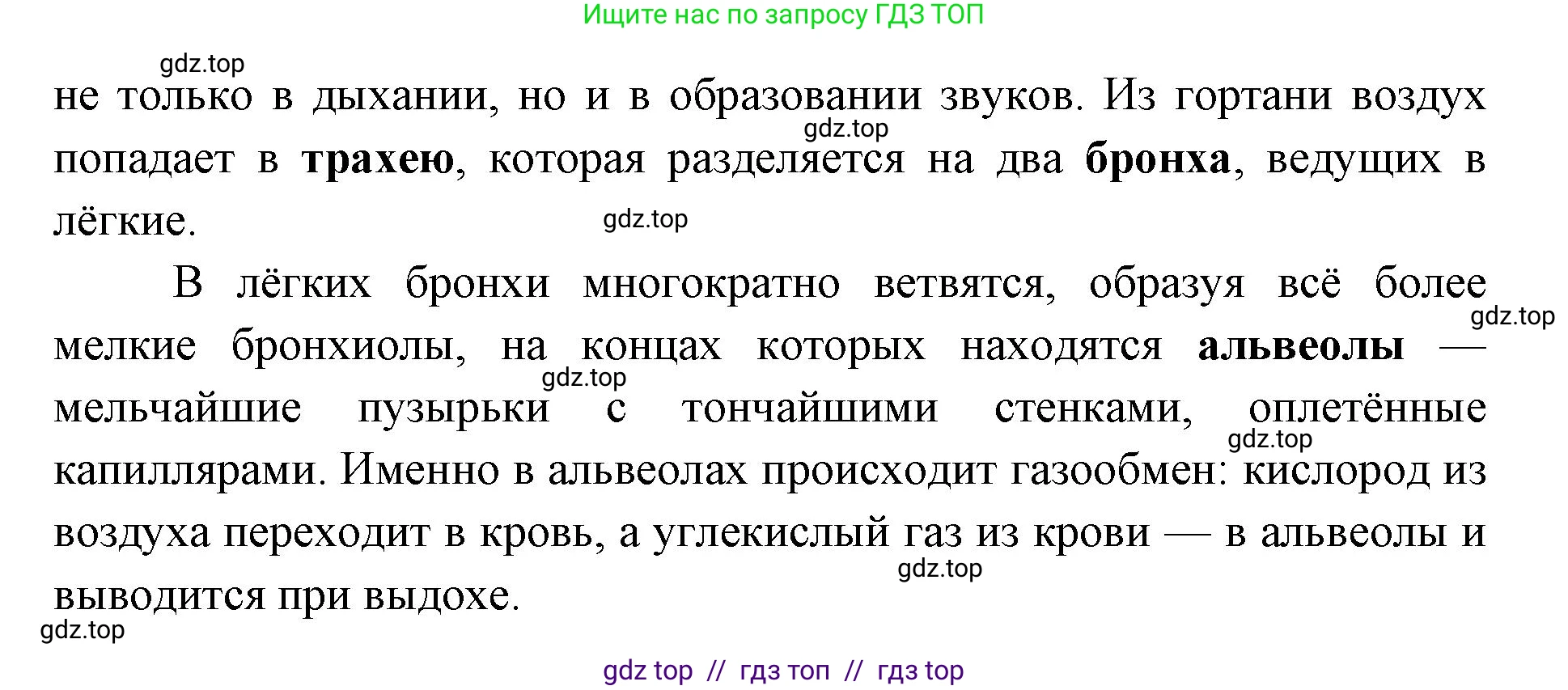 Биология, 9 класс Учебник, авторы: Пасечник Владимир Васильевич, Каменский Андрей Александрович, Швецов Глеб Геннадьевич, Гапонюк Зоя Георгиевна, издательство Просвещение, Москва, 2023, белого цвета, страница 129, номер 5, Решение 2 (продолжение 3)