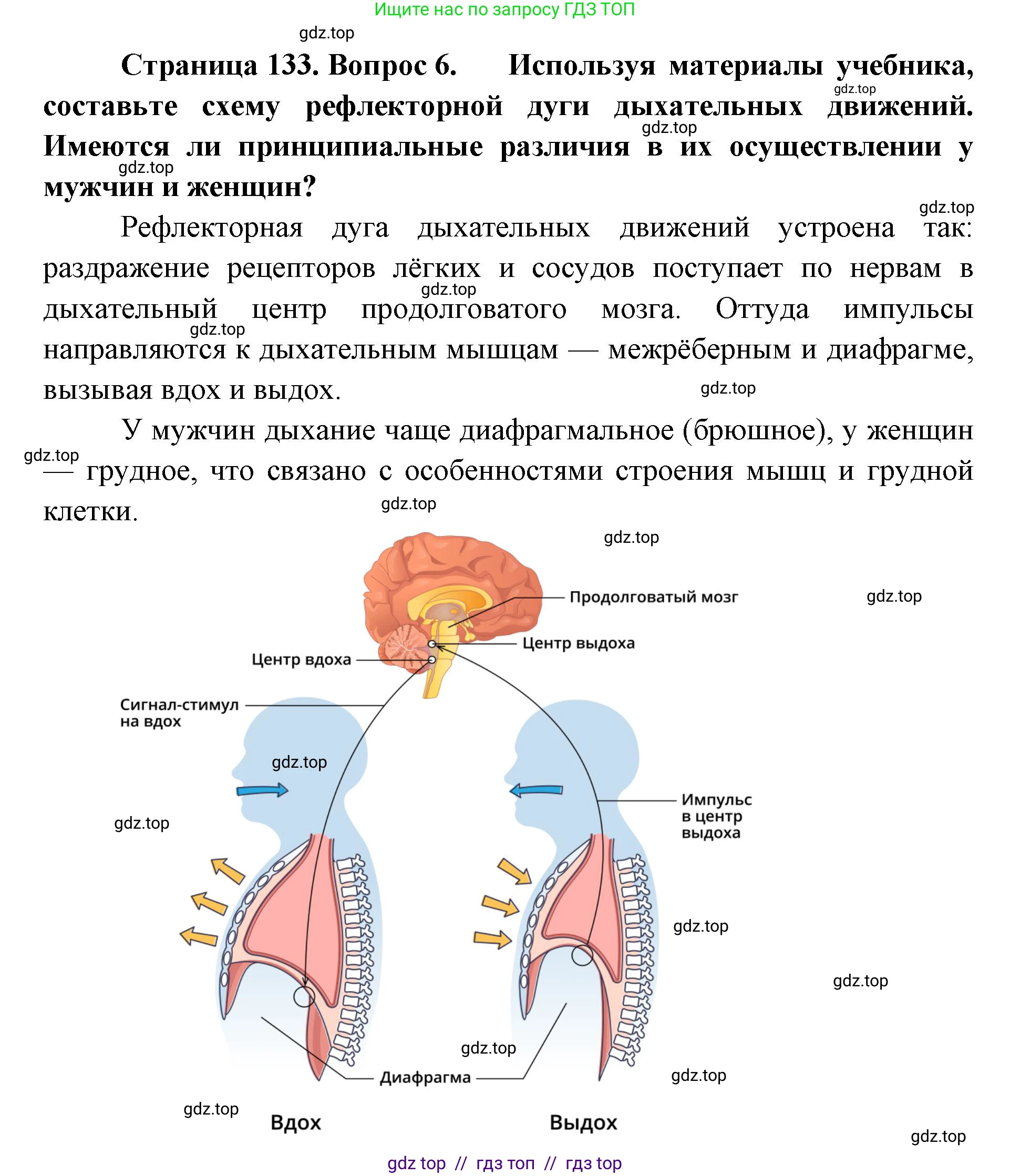 Биология, 9 класс Учебник, авторы: Пасечник Владимир Васильевич, Каменский Андрей Александрович, Швецов Глеб Геннадьевич, Гапонюк Зоя Георгиевна, издательство Просвещение, Москва, 2023, белого цвета, страница 133, номер 6, Решение 2