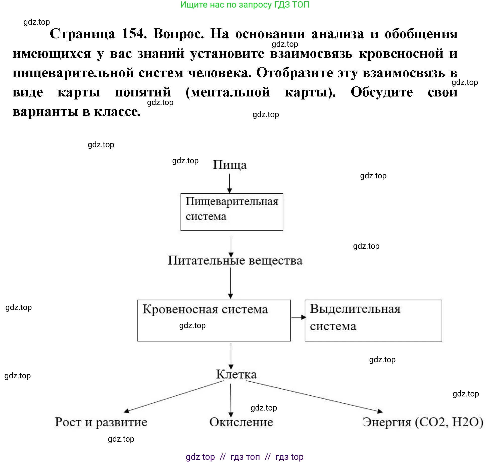 Биология, 9 класс Учебник, авторы: Пасечник Владимир Васильевич, Каменский Андрей Александрович, Швецов Глеб Геннадьевич, Гапонюк Зоя Георгиевна, издательство Просвещение, Москва, 2023, белого цвета, страница 153, Решение 2 (продолжение 3)