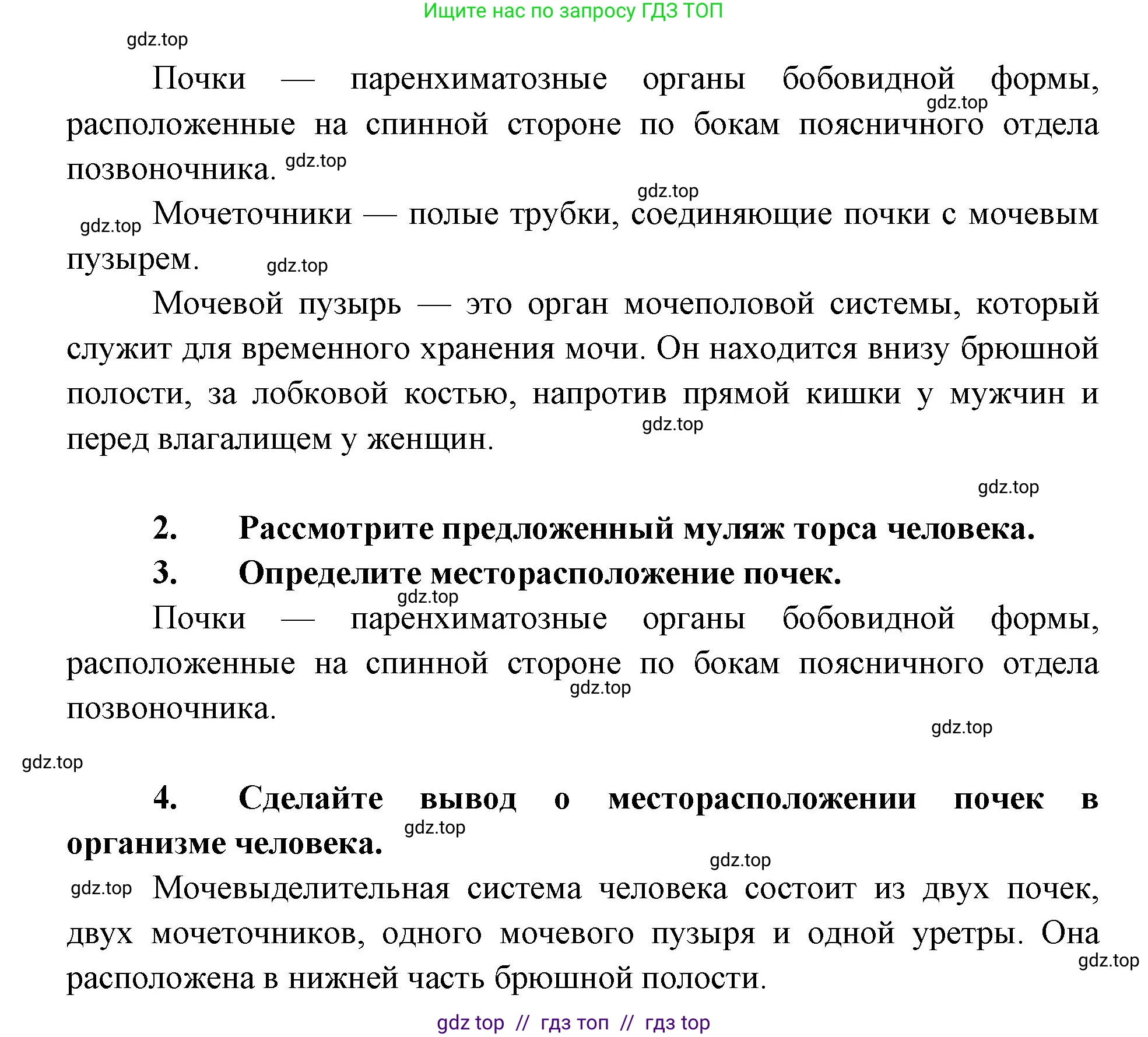 Биология, 9 класс Учебник, авторы: Пасечник Владимир Васильевич, Каменский Андрей Александрович, Швецов Глеб Геннадьевич, Гапонюк Зоя Георгиевна, издательство Просвещение, Москва, 2023, белого цвета, страница 191, Решение 2 (продолжение 2)