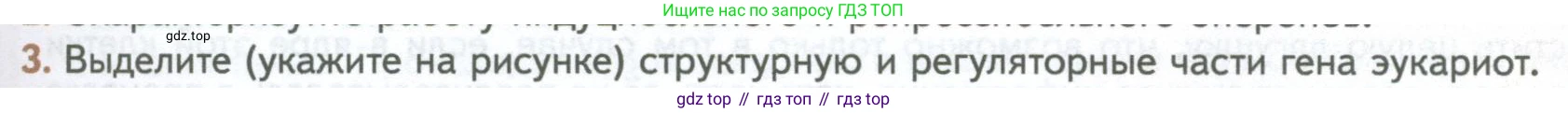 ГДЗ Биология, 10 класс Учебник, авторы: Пасечник Владимир Васильевич, Каменский Андрей Александрович, Рубцов Александр Михайлович, Швецов Глеб Геннадьевич, Абовян Леван Арташесович, Гапонюк Зоя Георгиевна, издательство Просвещение, Москва, 2024, коричневого цвета, Часть 1, страница 209, номер 3, Условие
