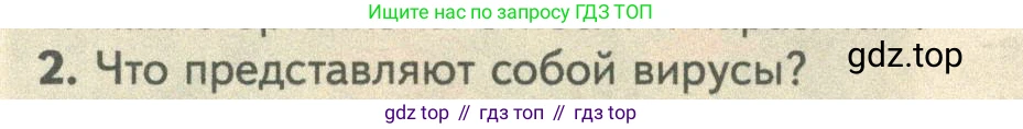 ГДЗ Биология, 10 класс Учебник, авторы: Пасечник Владимир Васильевич, Каменский Андрей Александрович, Рубцов Александр Михайлович, Швецов Глеб Геннадьевич, Абовян Леван Арташесович, Гапонюк Зоя Георгиевна, издательство Просвещение, Москва, 2024, коричневого цвета, Часть 1, страница 212, номер 2, Условие