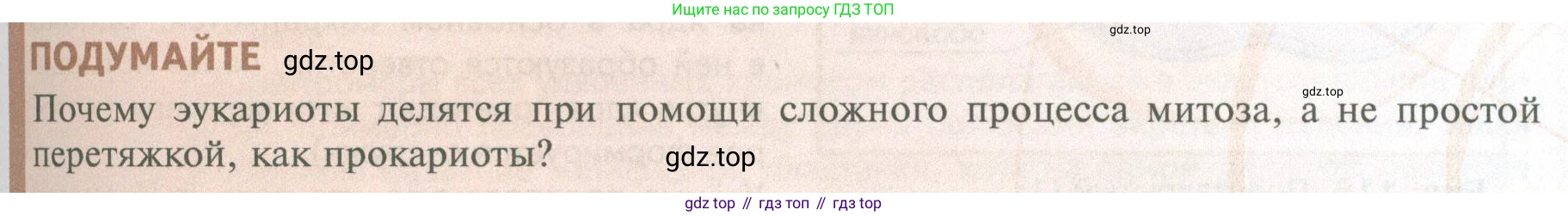 ГДЗ Биология, 10 класс Учебник, авторы: Пасечник Владимир Васильевич, Каменский Андрей Александрович, Рубцов Александр Михайлович, Швецов Глеб Геннадьевич, Абовян Леван Арташесович, Гапонюк Зоя Георгиевна, издательство Просвещение, Москва, 2024, коричневого цвета, Часть 1, страница 241, Условие