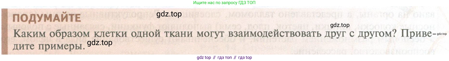 ГДЗ Биология, 10 класс Учебник, авторы: Пасечник Владимир Васильевич, Каменский Андрей Александрович, Рубцов Александр Михайлович, Швецов Глеб Геннадьевич, Абовян Леван Арташесович, Гапонюк Зоя Георгиевна, издательство Просвещение, Москва, 2024, коричневого цвета, Часть 2, страница 19, Условие