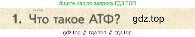 ГДЗ Биология, 10 класс Учебник, авторы: Пасечник Владимир Васильевич, Каменский Андрей Александрович, Рубцов Александр Михайлович, Швецов Глеб Геннадьевич, Абовян Леван Арташесович, Гапонюк Зоя Георгиевна, издательство Просвещение, Москва, 2024, коричневого цвета, Часть 2, страница 51, номер 1, Условие