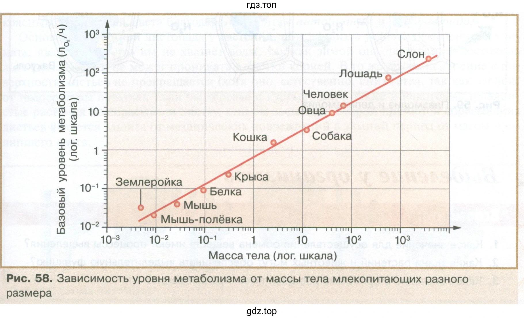 Биология, 10 класс Учебник, авторы: Пасечник Владимир Васильевич, Каменский Андрей Александрович, Рубцов Александр Михайлович, Швецов Глеб Геннадьевич, Абовян Леван Арташесович, Гапонюк Зоя Георгиевна, издательство Просвещение, Москва, 2024, коричневого цвета, Часть 2, страница 67, номер 2, Условие (продолжение 2)