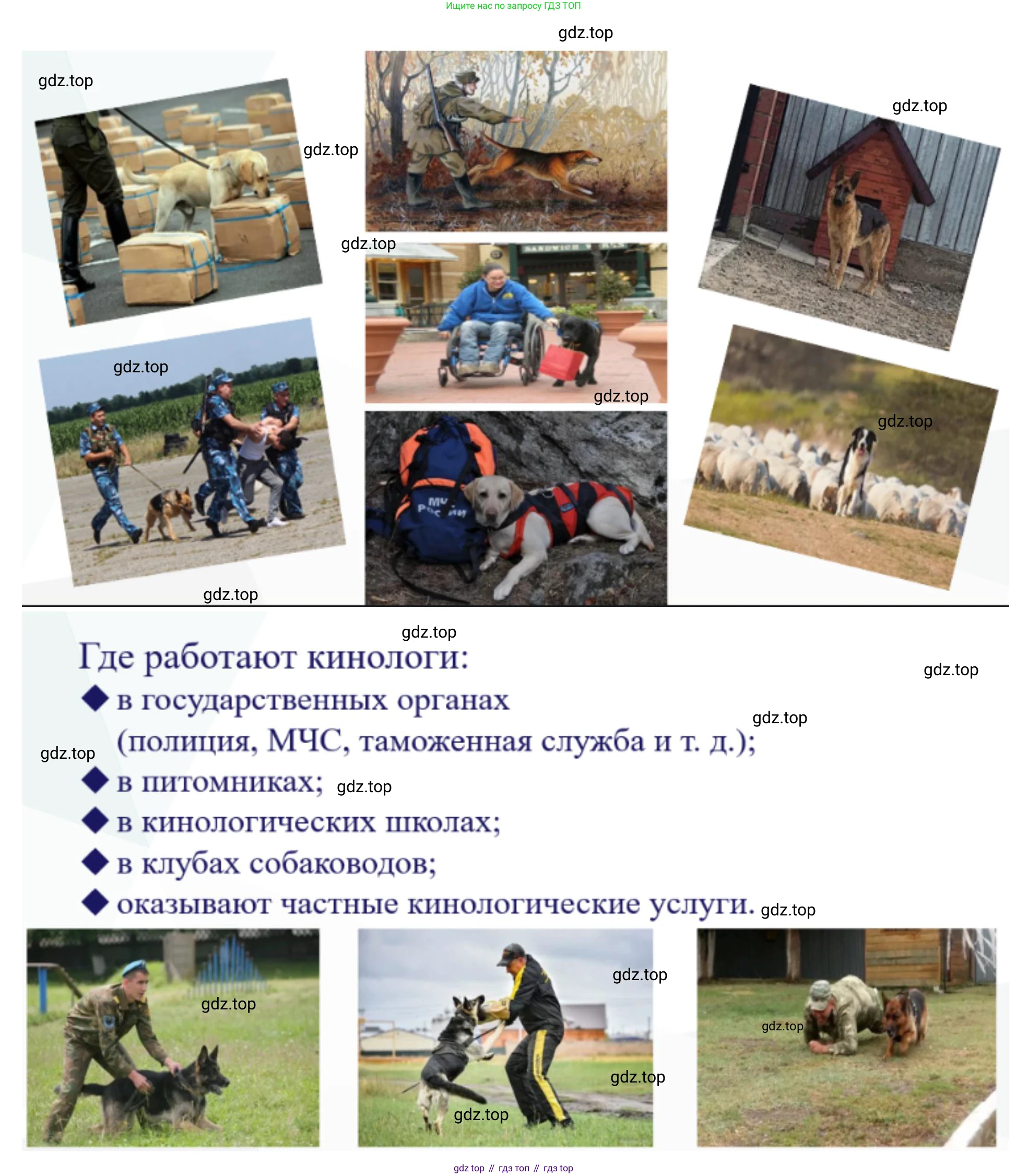 ГДЗ Биология, 10 класс Учебник, авторы: Пасечник Владимир Васильевич, Каменский Андрей Александрович, Рубцов Александр Михайлович, Швецов Глеб Геннадьевич, Абовян Леван Арташесович, Гапонюк Зоя Георгиевна, издательство Просвещение, Москва, 2024, коричневого цвета, Часть 1, страница 12, номер 7, Решение (продолжение 3)
