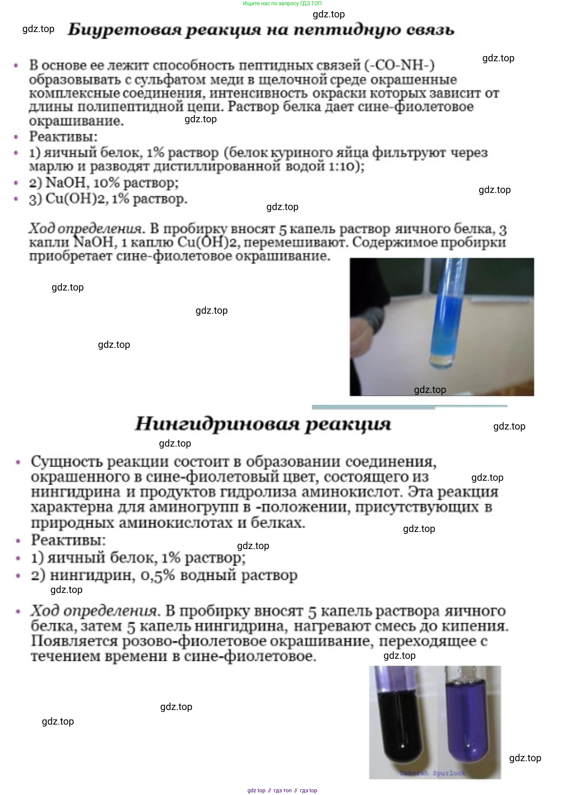ГДЗ Биология, 10 класс Учебник, авторы: Пасечник Владимир Васильевич, Каменский Андрей Александрович, Рубцов Александр Михайлович, Швецов Глеб Геннадьевич, Абовян Леван Арташесович, Гапонюк Зоя Георгиевна, издательство Просвещение, Москва, 2024, коричневого цвета, Часть 1, страница 76, номер 4, Решение (продолжение 3)