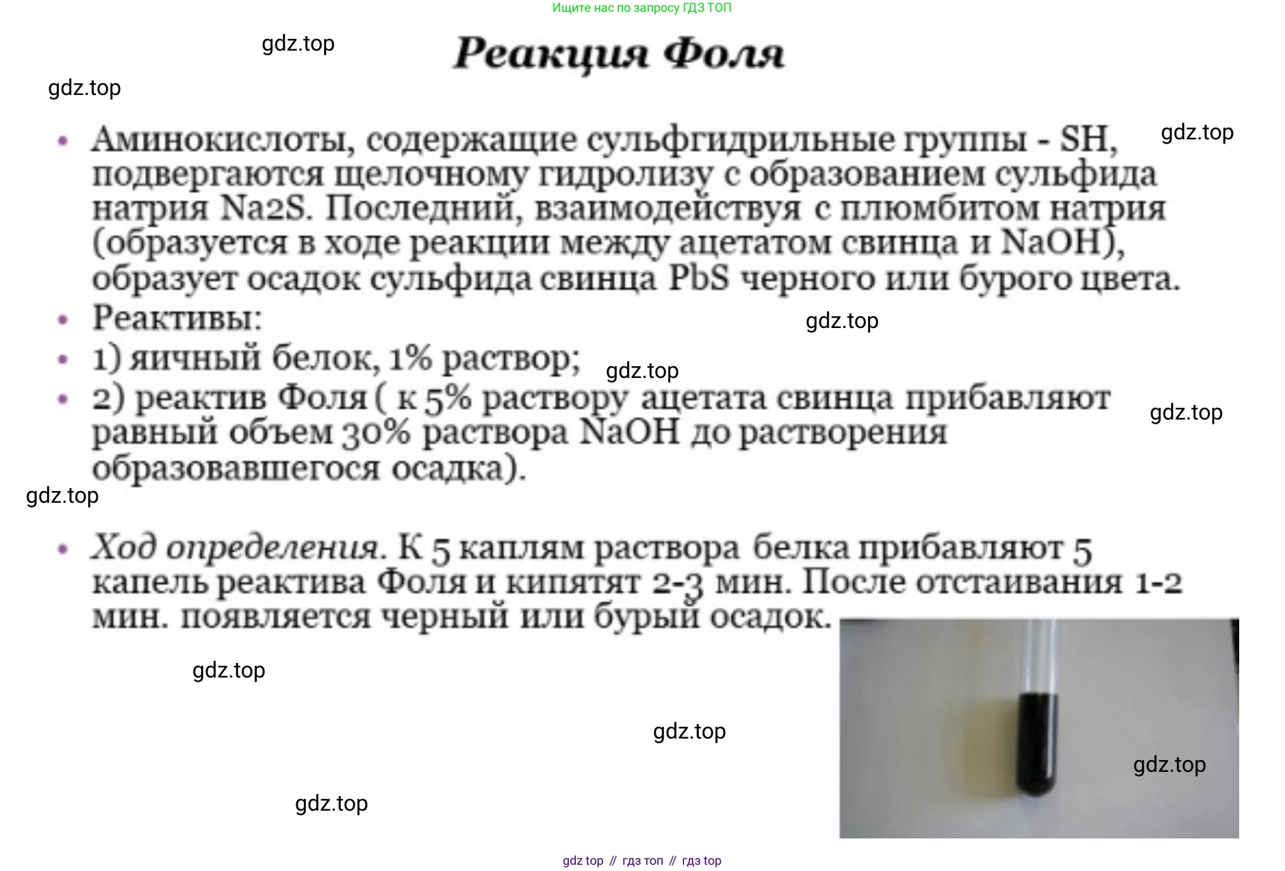 ГДЗ Биология, 10 класс Учебник, авторы: Пасечник Владимир Васильевич, Каменский Андрей Александрович, Рубцов Александр Михайлович, Швецов Глеб Геннадьевич, Абовян Леван Арташесович, Гапонюк Зоя Георгиевна, издательство Просвещение, Москва, 2024, коричневого цвета, Часть 1, страница 76, номер 4, Решение (продолжение 4)