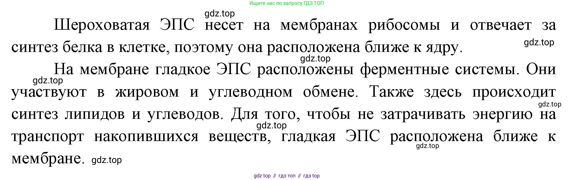 ГДЗ Биология, 10 класс Учебник, авторы: Пасечник Владимир Васильевич, Каменский Андрей Александрович, Рубцов Александр Михайлович, Швецов Глеб Геннадьевич, Абовян Леван Арташесович, Гапонюк Зоя Георгиевна, издательство Просвещение, Москва, 2024, коричневого цвета, Часть 1, страница 144, номер 2, Решение (продолжение 2)