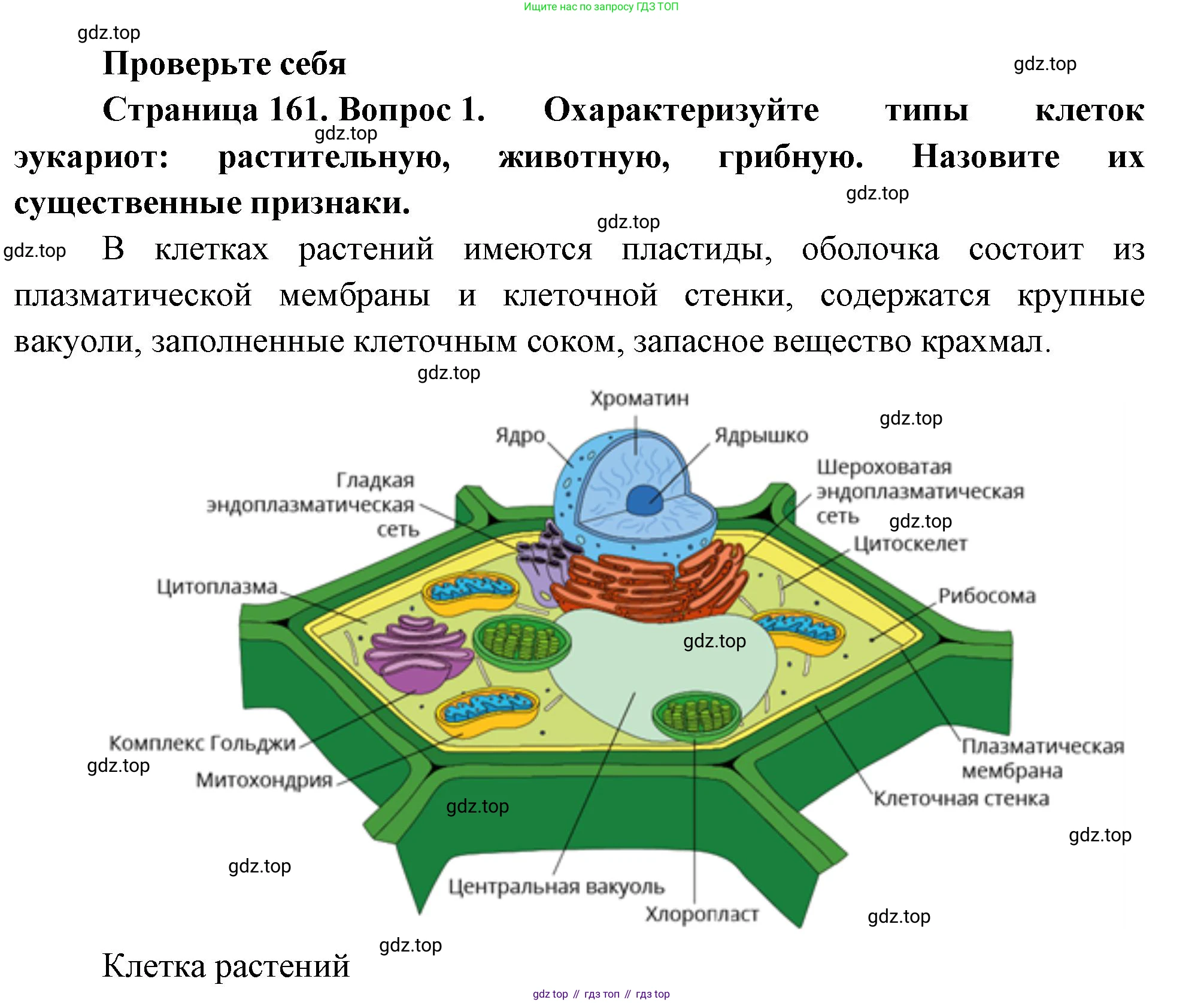ГДЗ Биология, 10 класс Учебник, авторы: Пасечник Владимир Васильевич, Каменский Андрей Александрович, Рубцов Александр Михайлович, Швецов Глеб Геннадьевич, Абовян Леван Арташесович, Гапонюк Зоя Георгиевна, издательство Просвещение, Москва, 2024, коричневого цвета, Часть 1, страница 161, номер 1, Решение