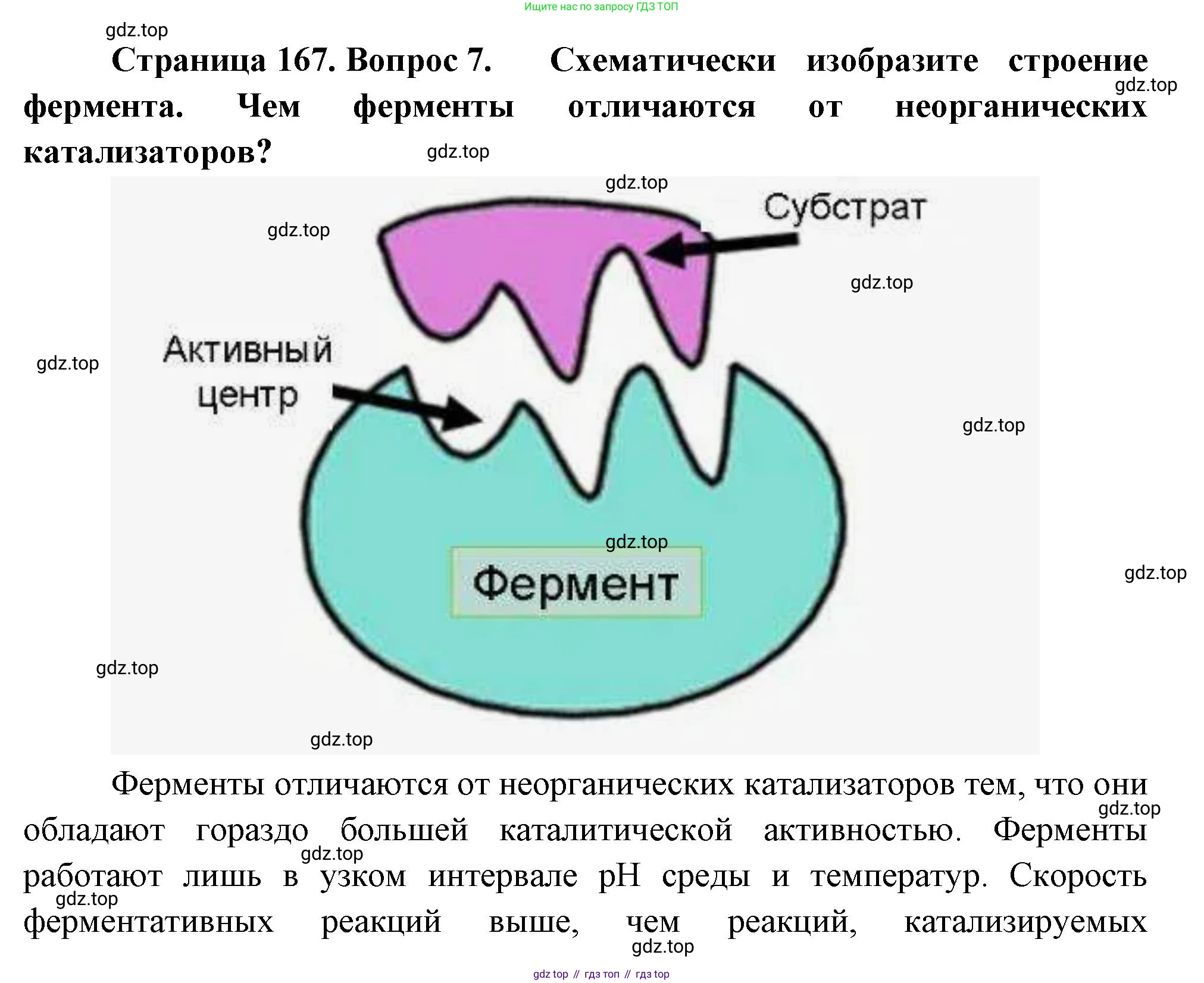 ГДЗ Биология, 10 класс Учебник, авторы: Пасечник Владимир Васильевич, Каменский Андрей Александрович, Рубцов Александр Михайлович, Швецов Глеб Геннадьевич, Абовян Леван Арташесович, Гапонюк Зоя Георгиевна, издательство Просвещение, Москва, 2024, коричневого цвета, Часть 1, страница 167, номер 7, Решение