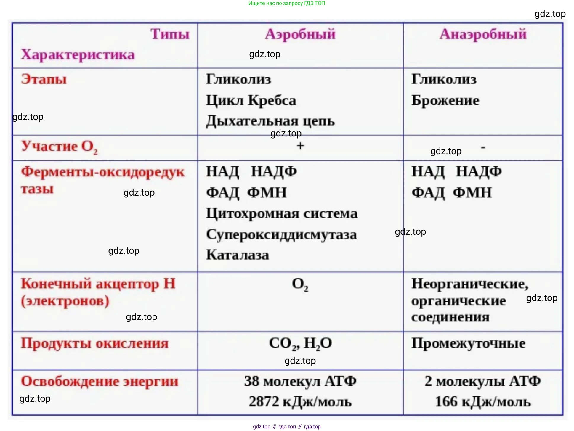 ГДЗ Биология, 10 класс Учебник, авторы: Пасечник Владимир Васильевич, Каменский Андрей Александрович, Рубцов Александр Михайлович, Швецов Глеб Геннадьевич, Абовян Леван Арташесович, Гапонюк Зоя Георгиевна, издательство Просвещение, Москва, 2024, коричневого цвета, Часть 1, страница 190, номер 6, Решение (продолжение 2)