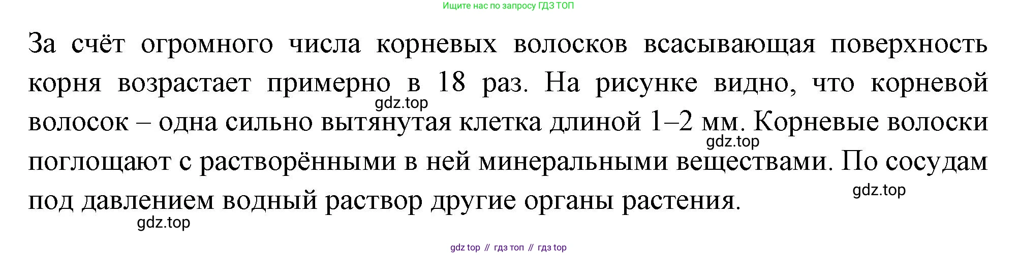 ГДЗ Биология, 10 класс Учебник, авторы: Пасечник Владимир Васильевич, Каменский Андрей Александрович, Рубцов Александр Михайлович, Швецов Глеб Геннадьевич, Абовян Леван Арташесович, Гапонюк Зоя Георгиевна, издательство Просвещение, Москва, 2024, коричневого цвета, Часть 2, страница 48, номер 5, Решение (продолжение 2)