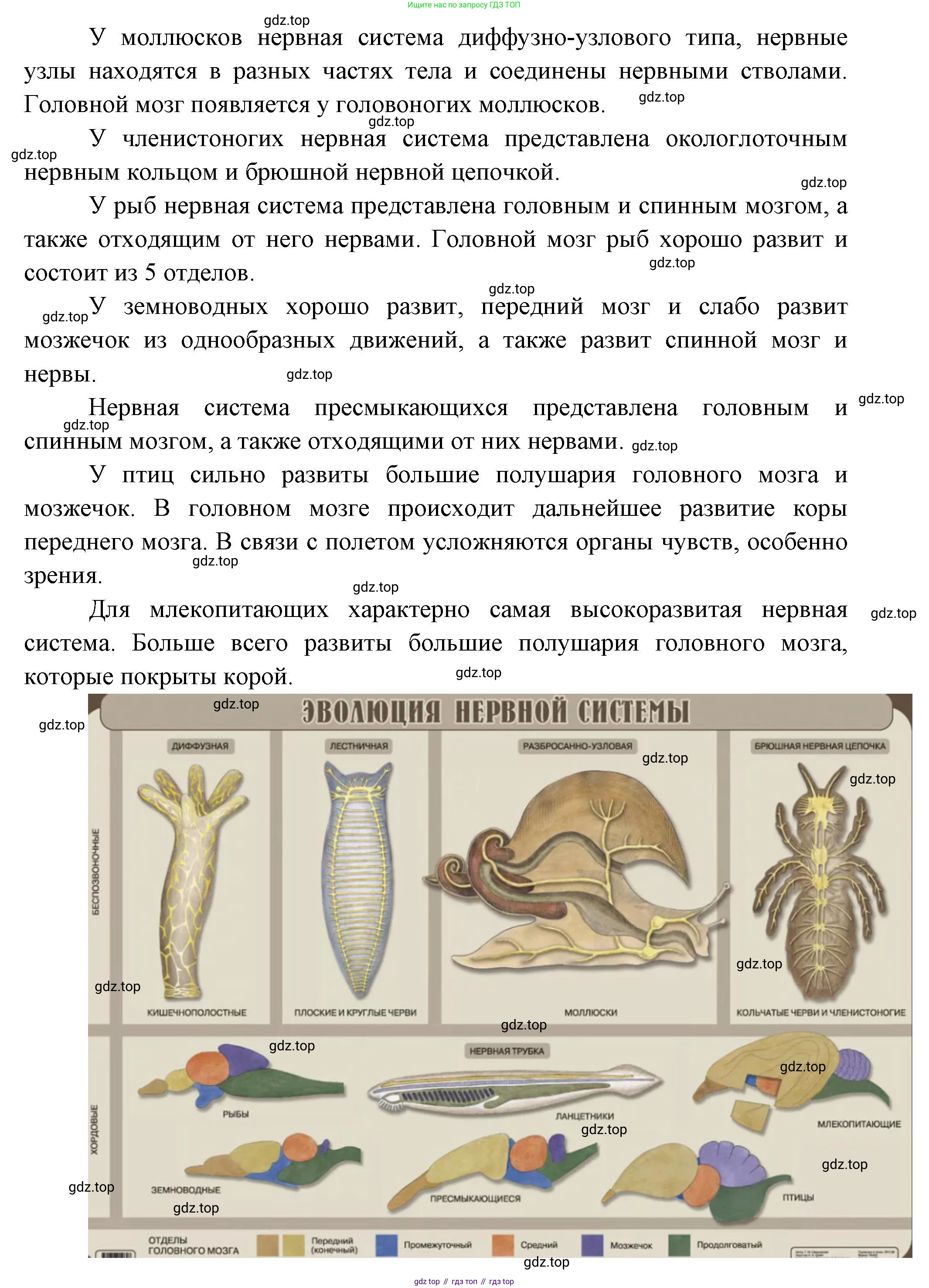 ГДЗ Биология, 10 класс Учебник, авторы: Пасечник Владимир Васильевич, Каменский Андрей Александрович, Рубцов Александр Михайлович, Швецов Глеб Геннадьевич, Абовян Леван Арташесович, Гапонюк Зоя Георгиевна, издательство Просвещение, Москва, 2024, коричневого цвета, Часть 2, страница 93, номер 6, Решение (продолжение 2)