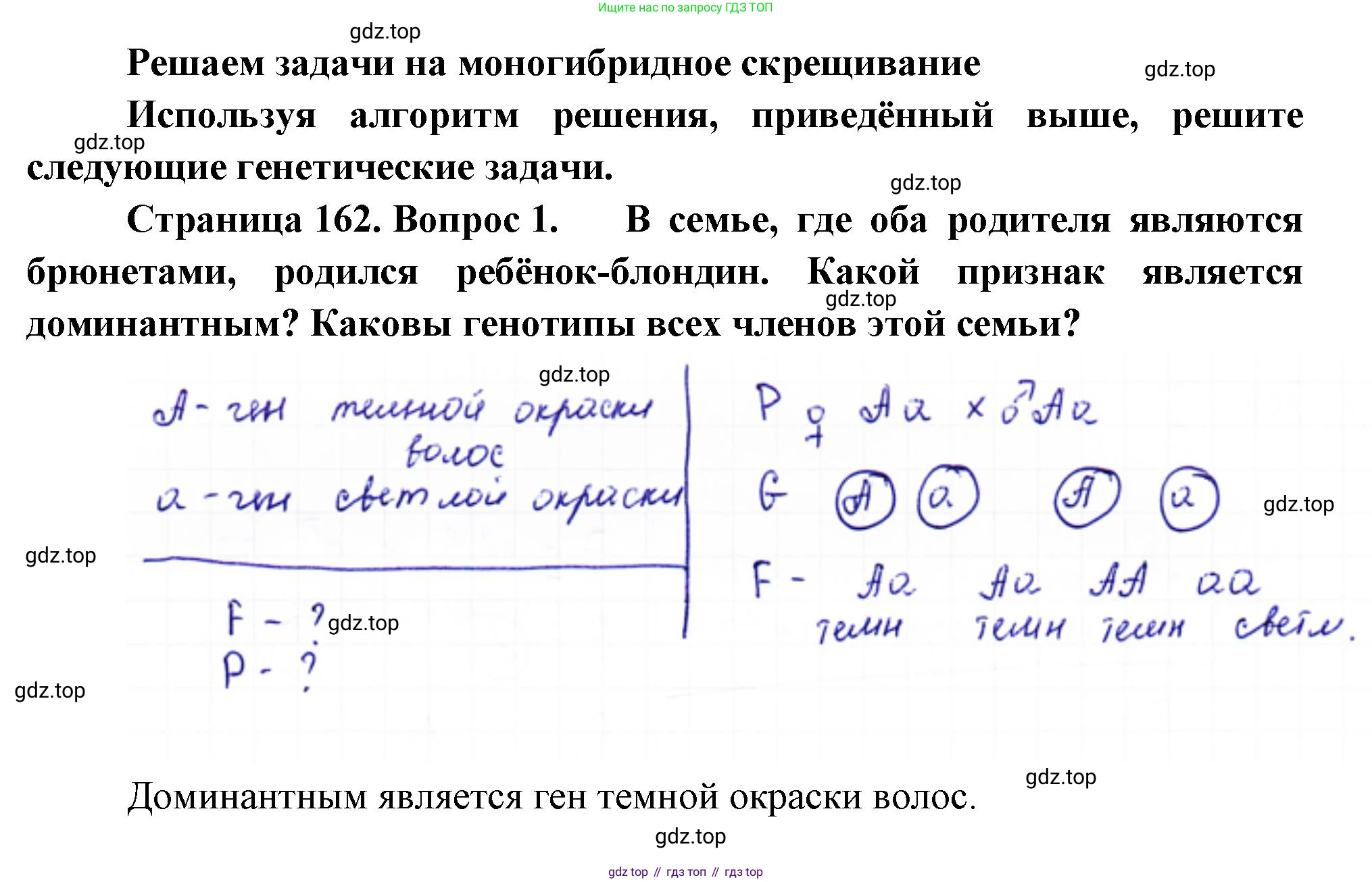ГДЗ Биология, 10 класс Учебник, авторы: Пасечник Владимир Васильевич, Каменский Андрей Александрович, Рубцов Александр Михайлович, Швецов Глеб Геннадьевич, Абовян Леван Арташесович, Гапонюк Зоя Георгиевна, издательство Просвещение, Москва, 2024, коричневого цвета, Часть 2, страница 162, номер 1, Решение