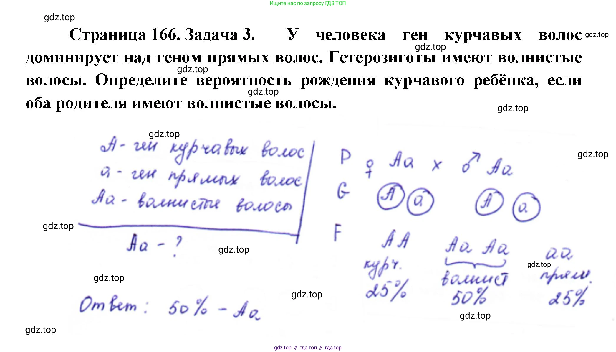 ГДЗ Биология, 10 класс Учебник, авторы: Пасечник Владимир Васильевич, Каменский Андрей Александрович, Рубцов Александр Михайлович, Швецов Глеб Геннадьевич, Абовян Леван Арташесович, Гапонюк Зоя Георгиевна, издательство Просвещение, Москва, 2024, коричневого цвета, Часть 2, страница 166, номер 3, Решение