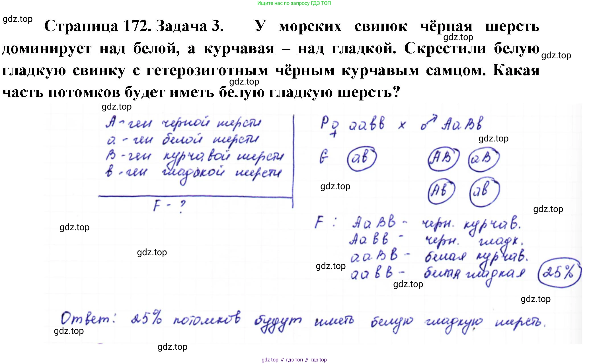 ГДЗ Биология, 10 класс Учебник, авторы: Пасечник Владимир Васильевич, Каменский Андрей Александрович, Рубцов Александр Михайлович, Швецов Глеб Геннадьевич, Абовян Леван Арташесович, Гапонюк Зоя Георгиевна, издательство Просвещение, Москва, 2024, коричневого цвета, Часть 2, страница 172, номер 3, Решение