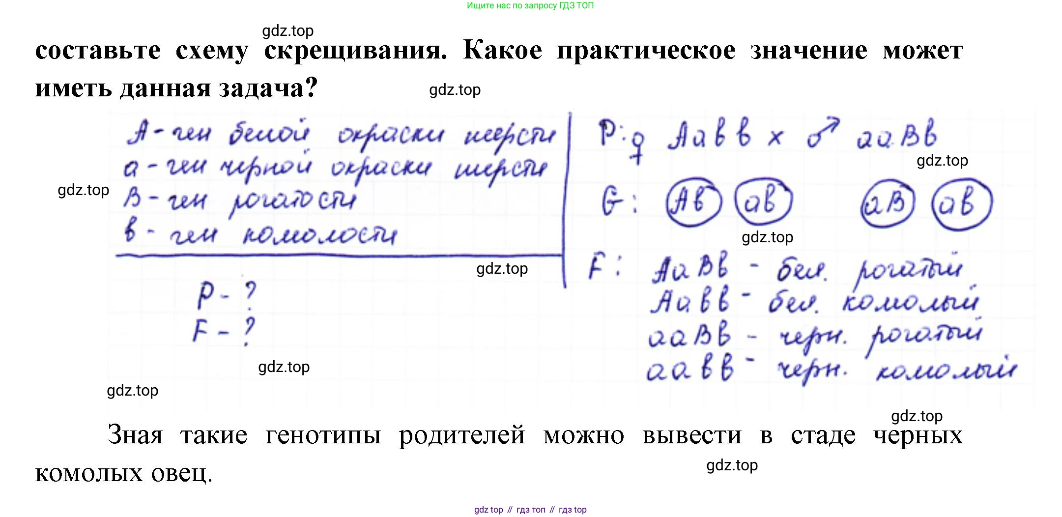 ГДЗ Биология, 10 класс Учебник, авторы: Пасечник Владимир Васильевич, Каменский Андрей Александрович, Рубцов Александр Михайлович, Швецов Глеб Геннадьевич, Абовян Леван Арташесович, Гапонюк Зоя Георгиевна, издательство Просвещение, Москва, 2024, коричневого цвета, Часть 2, страница 172, номер 4, Решение (продолжение 2)