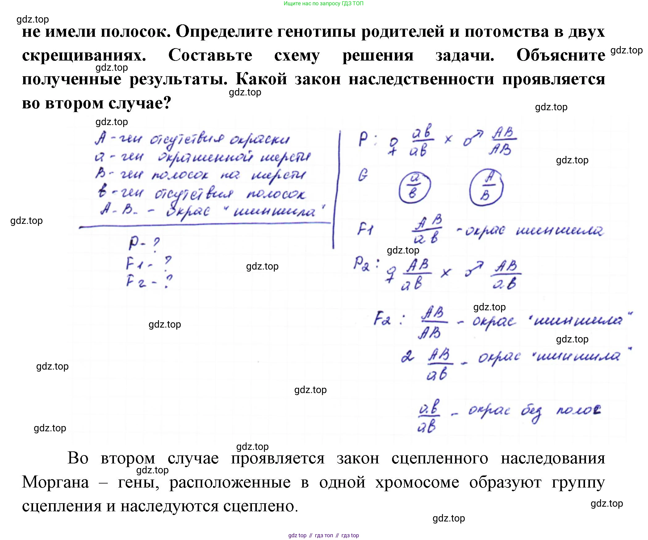 ГДЗ Биология, 10 класс Учебник, авторы: Пасечник Владимир Васильевич, Каменский Андрей Александрович, Рубцов Александр Михайлович, Швецов Глеб Геннадьевич, Абовян Леван Арташесович, Гапонюк Зоя Георгиевна, издательство Просвещение, Москва, 2024, коричневого цвета, Часть 2, страница 176, номер 1, Решение (продолжение 2)
