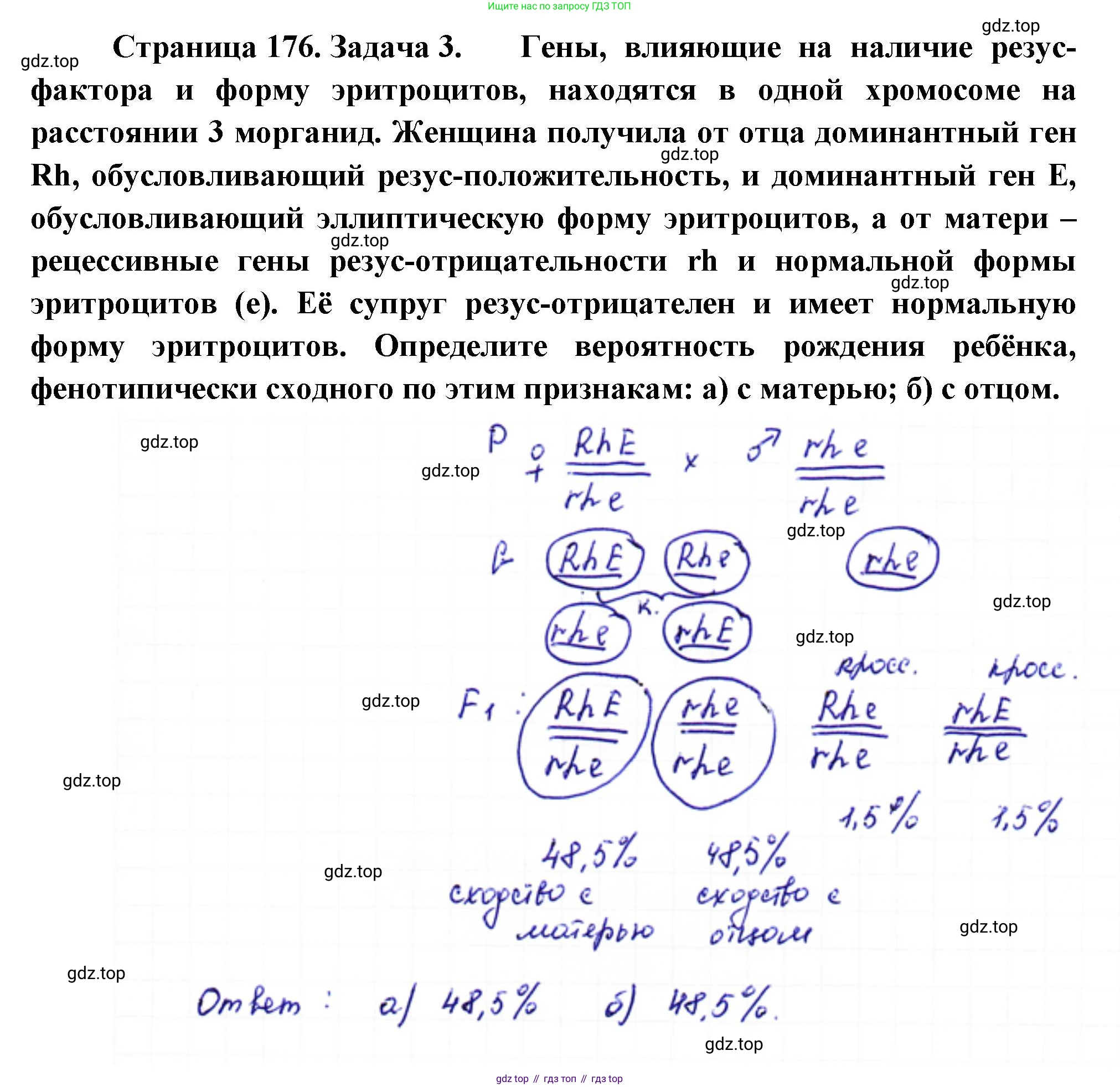 ГДЗ Биология, 10 класс Учебник, авторы: Пасечник Владимир Васильевич, Каменский Андрей Александрович, Рубцов Александр Михайлович, Швецов Глеб Геннадьевич, Абовян Леван Арташесович, Гапонюк Зоя Георгиевна, издательство Просвещение, Москва, 2024, коричневого цвета, Часть 2, страница 176, номер 3, Решение
