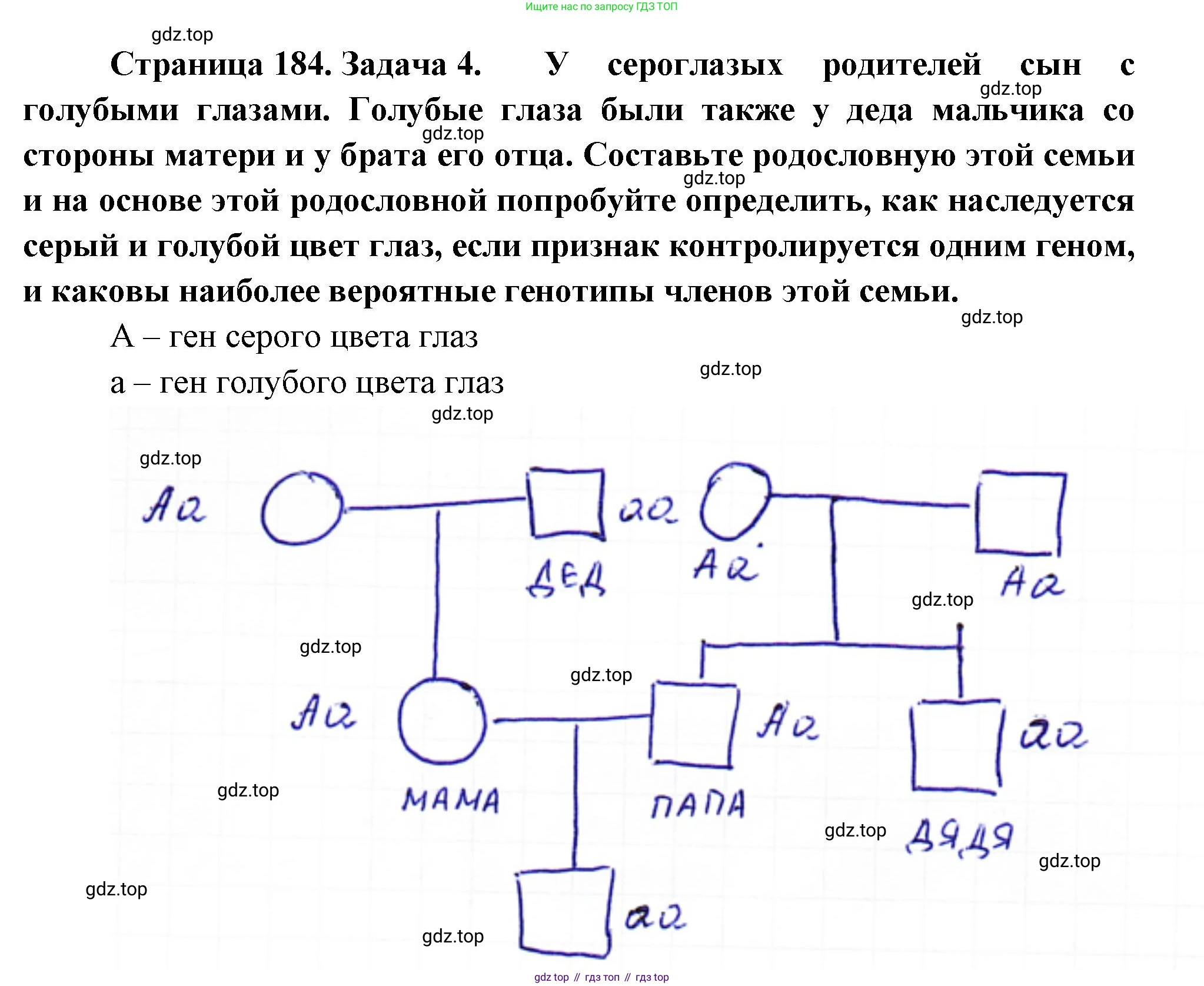 ГДЗ Биология, 10 класс Учебник, авторы: Пасечник Владимир Васильевич, Каменский Андрей Александрович, Рубцов Александр Михайлович, Швецов Глеб Геннадьевич, Абовян Леван Арташесович, Гапонюк Зоя Георгиевна, издательство Просвещение, Москва, 2024, коричневого цвета, Часть 2, страница 184, номер 4, Решение