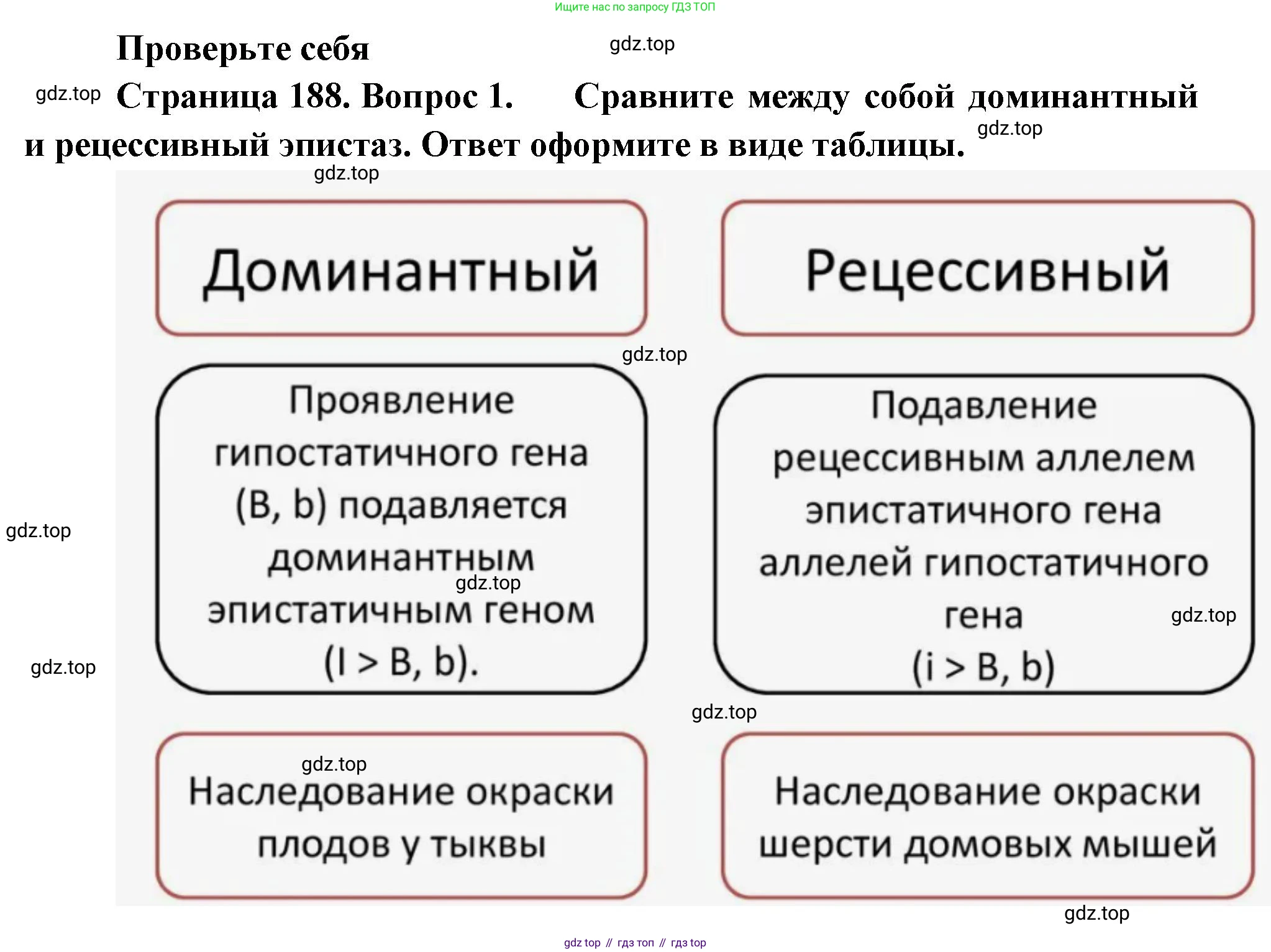 ГДЗ Биология, 10 класс Учебник, авторы: Пасечник Владимир Васильевич, Каменский Андрей Александрович, Рубцов Александр Михайлович, Швецов Глеб Геннадьевич, Абовян Леван Арташесович, Гапонюк Зоя Георгиевна, издательство Просвещение, Москва, 2024, коричневого цвета, Часть 2, страница 188, номер 1, Решение