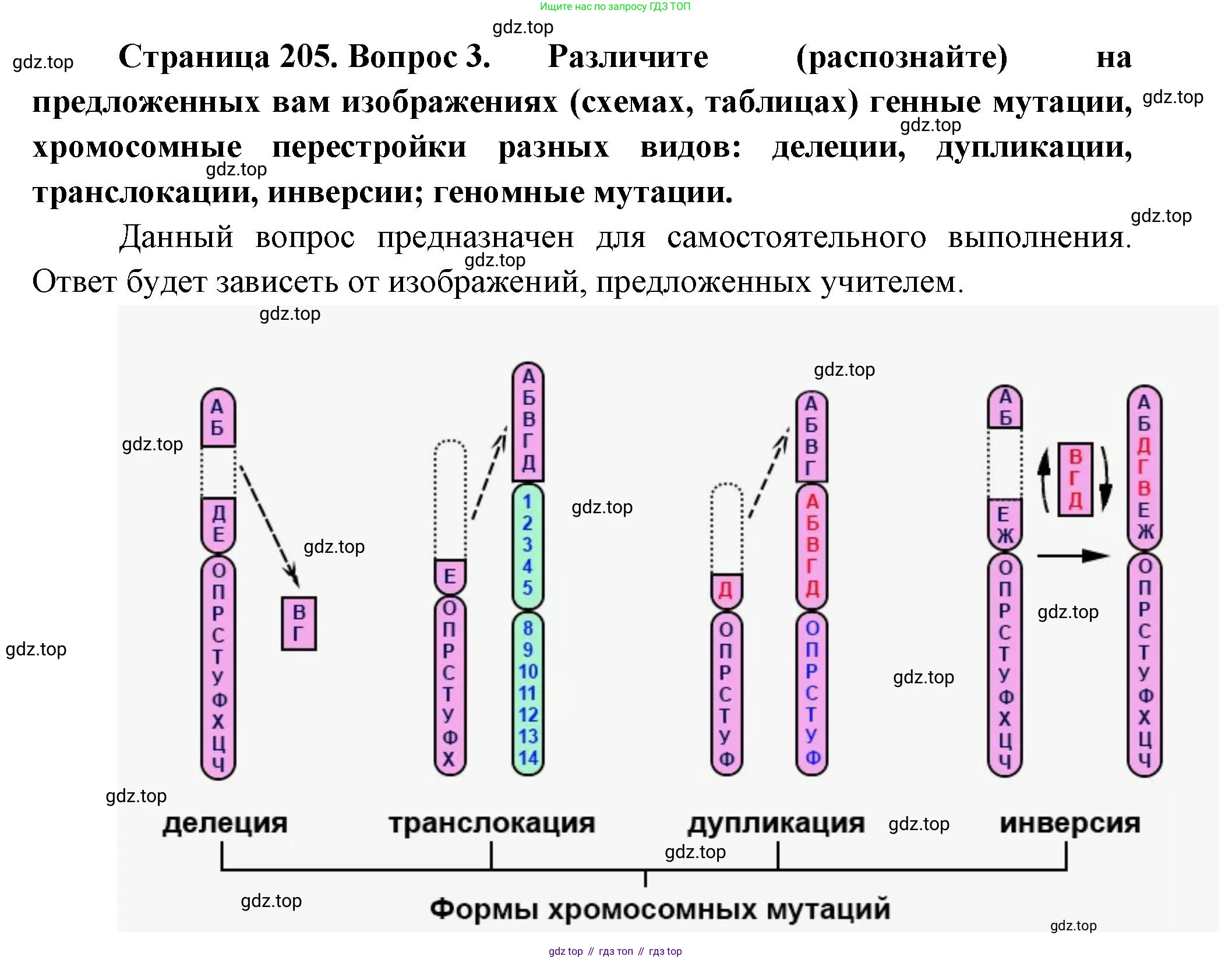 ГДЗ Биология, 10 класс Учебник, авторы: Пасечник Владимир Васильевич, Каменский Андрей Александрович, Рубцов Александр Михайлович, Швецов Глеб Геннадьевич, Абовян Леван Арташесович, Гапонюк Зоя Георгиевна, издательство Просвещение, Москва, 2024, коричневого цвета, Часть 2, страница 205, номер 3, Решение