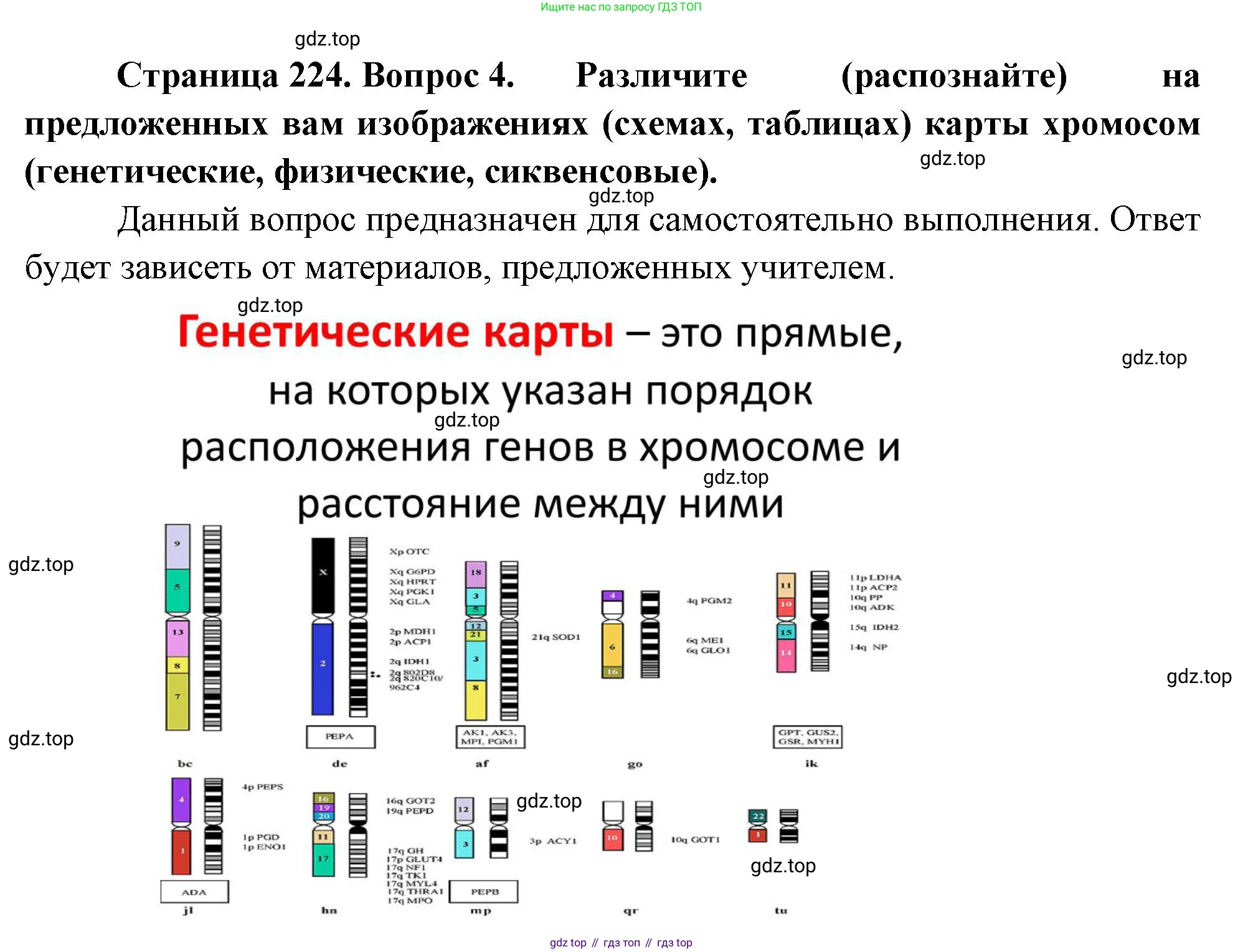 ГДЗ Биология, 10 класс Учебник, авторы: Пасечник Владимир Васильевич, Каменский Андрей Александрович, Рубцов Александр Михайлович, Швецов Глеб Геннадьевич, Абовян Леван Арташесович, Гапонюк Зоя Георгиевна, издательство Просвещение, Москва, 2024, коричневого цвета, Часть 2, страница 224, номер 4, Решение