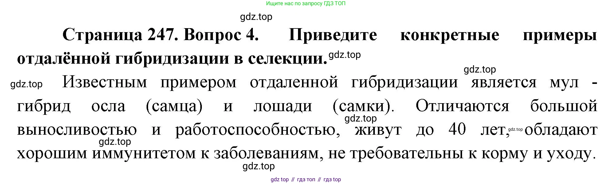 ГДЗ Биология, 10 класс Учебник, авторы: Пасечник Владимир Васильевич, Каменский Андрей Александрович, Рубцов Александр Михайлович, Швецов Глеб Геннадьевич, Абовян Леван Арташесович, Гапонюк Зоя Георгиевна, издательство Просвещение, Москва, 2024, коричневого цвета, Часть 2, страница 247, номер 4, Решение