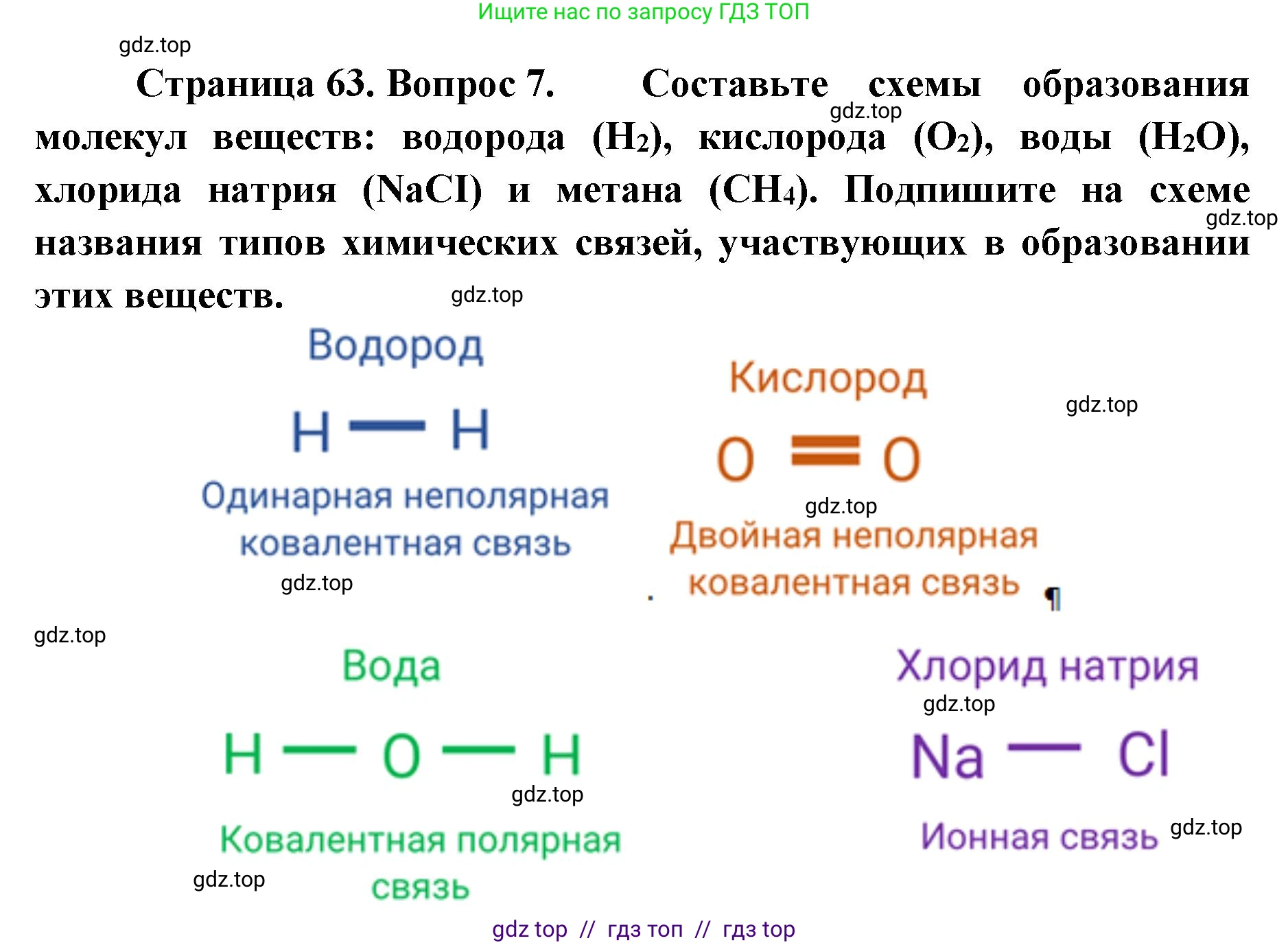 Биология, 10 класс Учебник, авторы: Пасечник Владимир Васильевич, Каменский Андрей Александрович, Рубцов Александр Михайлович, Швецов Глеб Геннадьевич, Абовян Леван Арташесович, Гапонюк Зоя Георгиевна, издательство Просвещение, Москва, 2024, коричневого цвета, Часть 1, страница 63, номер 7, Решение2